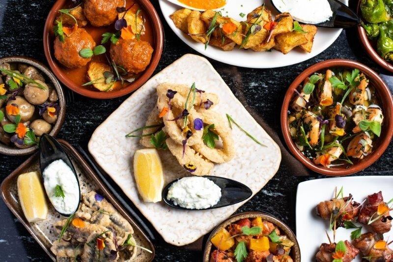 Mio Tapas Fusion y Vinos