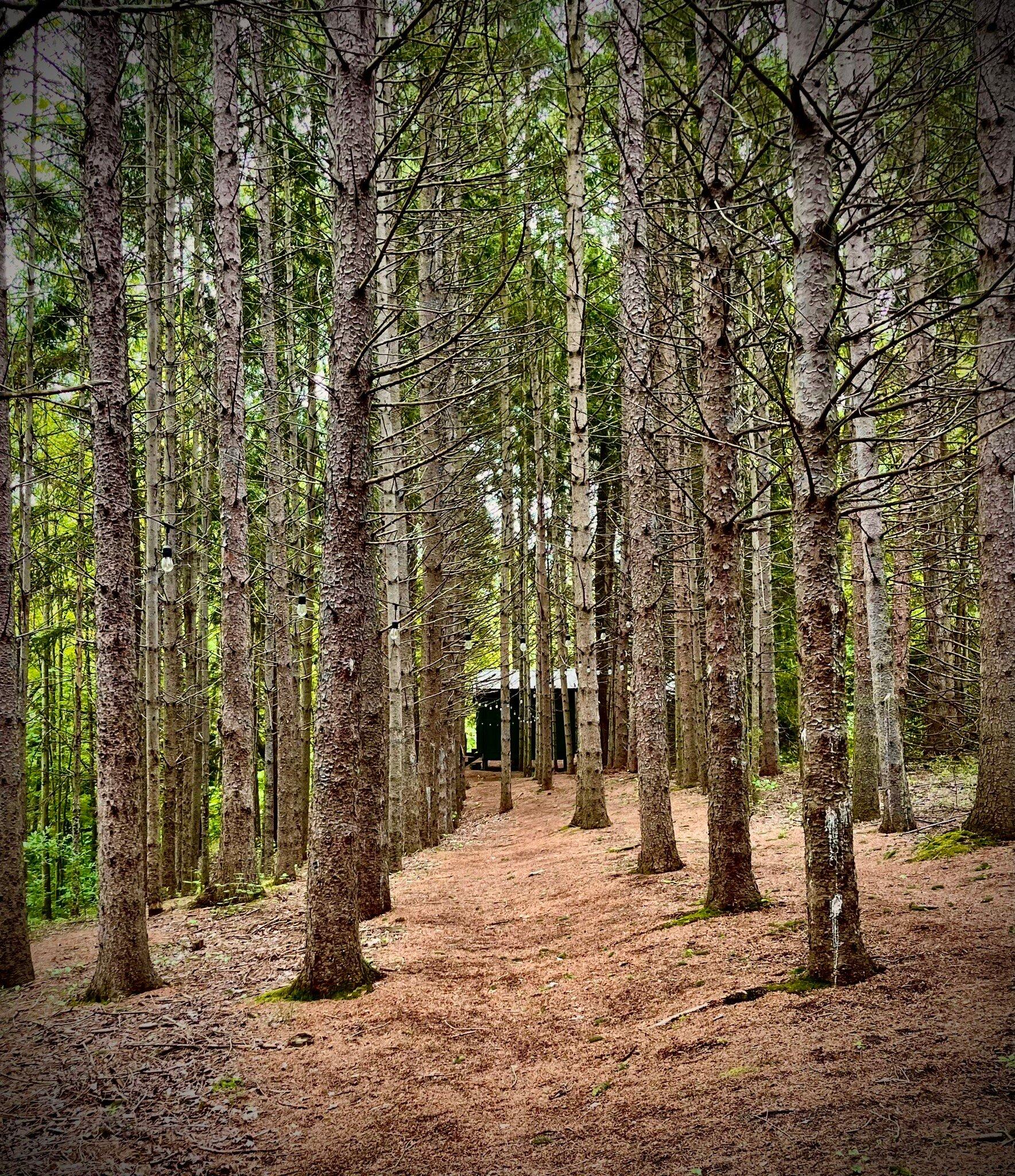The Fields of Michigan