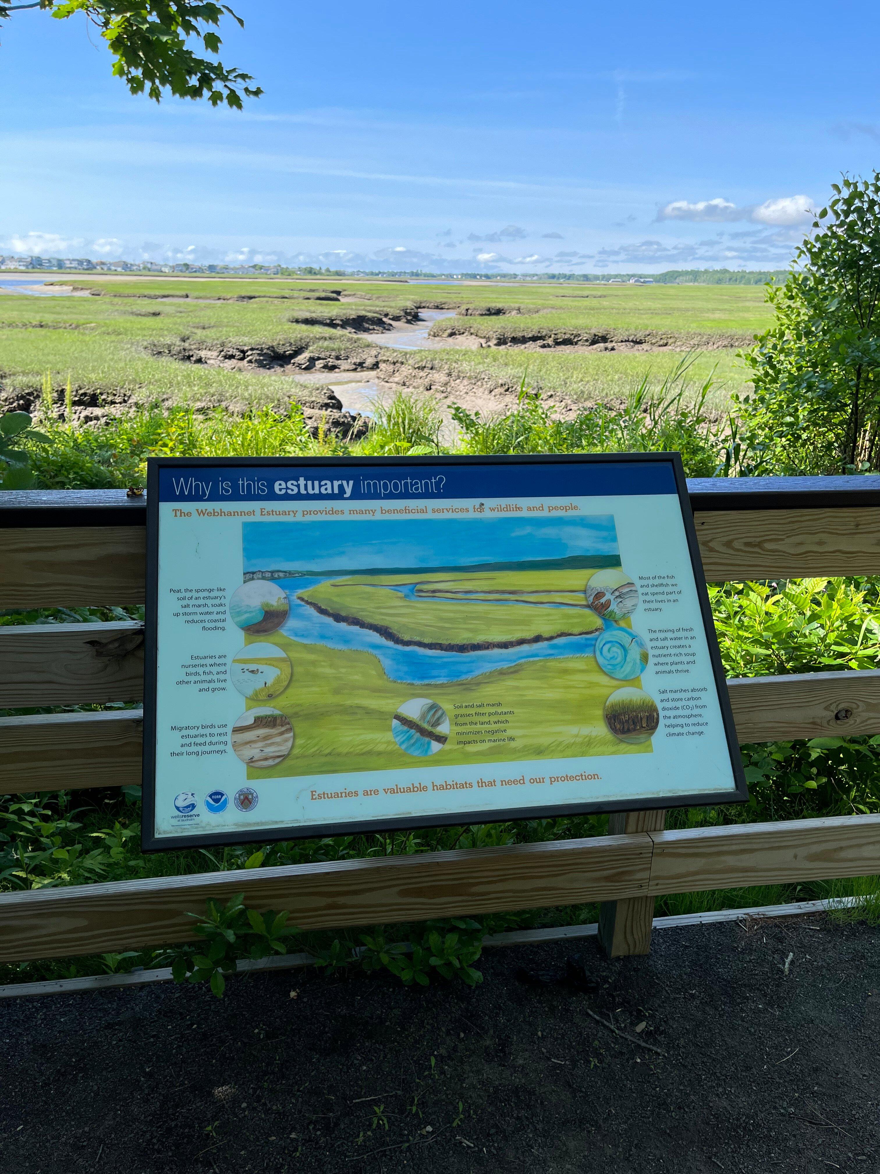 Webhanet Marsh Trail