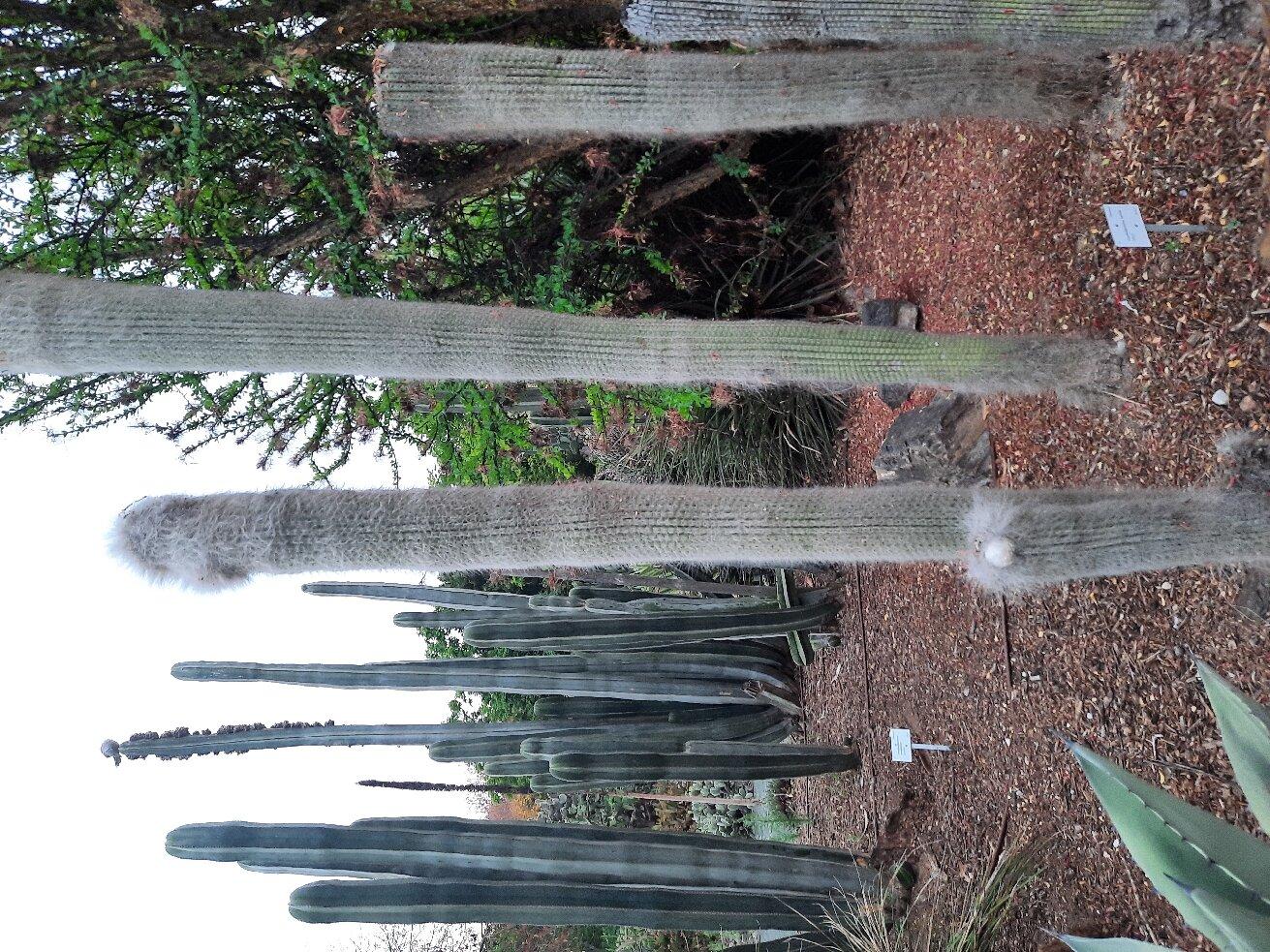 Parque De La Paloma Monument