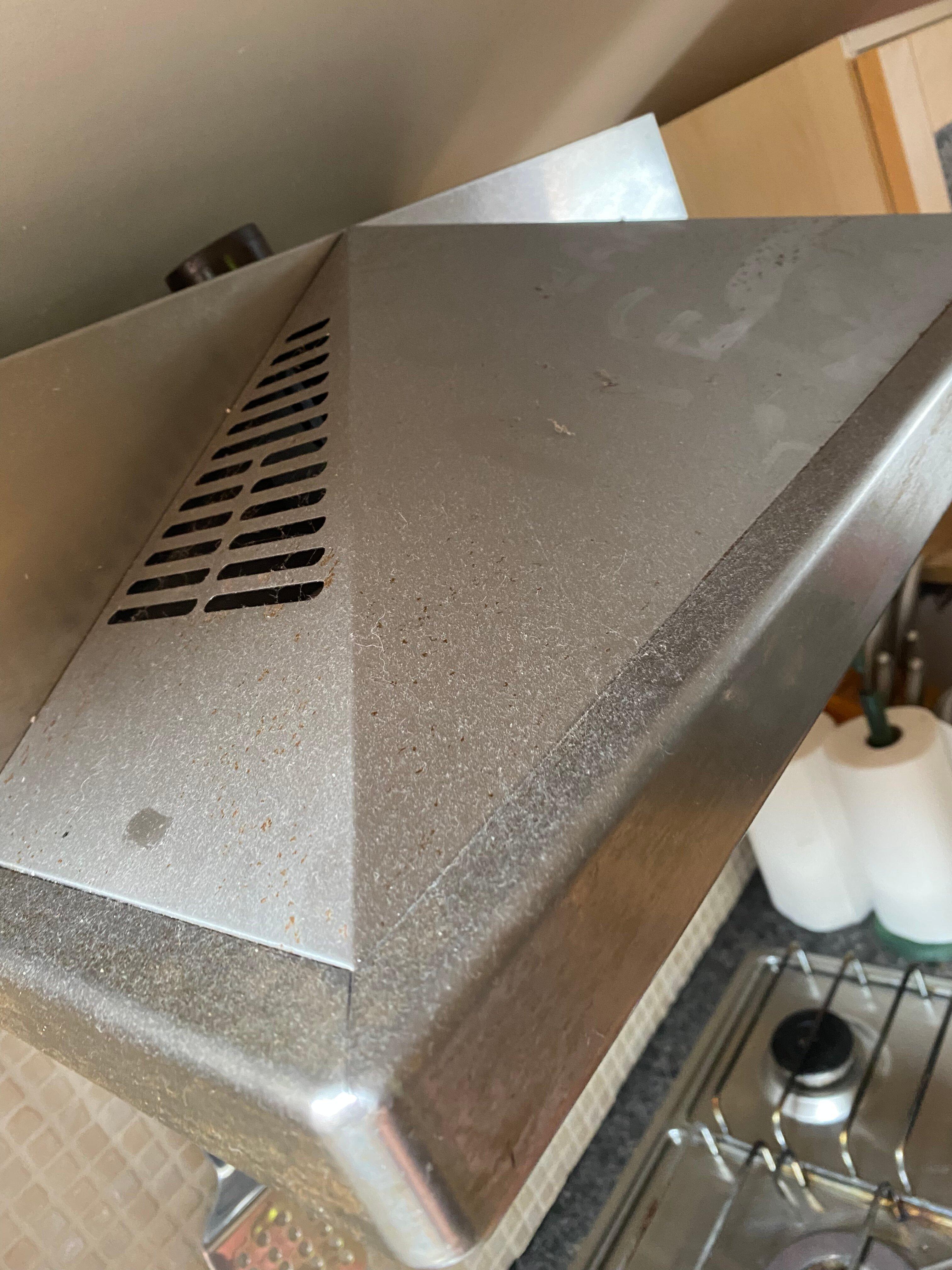 Victorian Elegance In Belfast