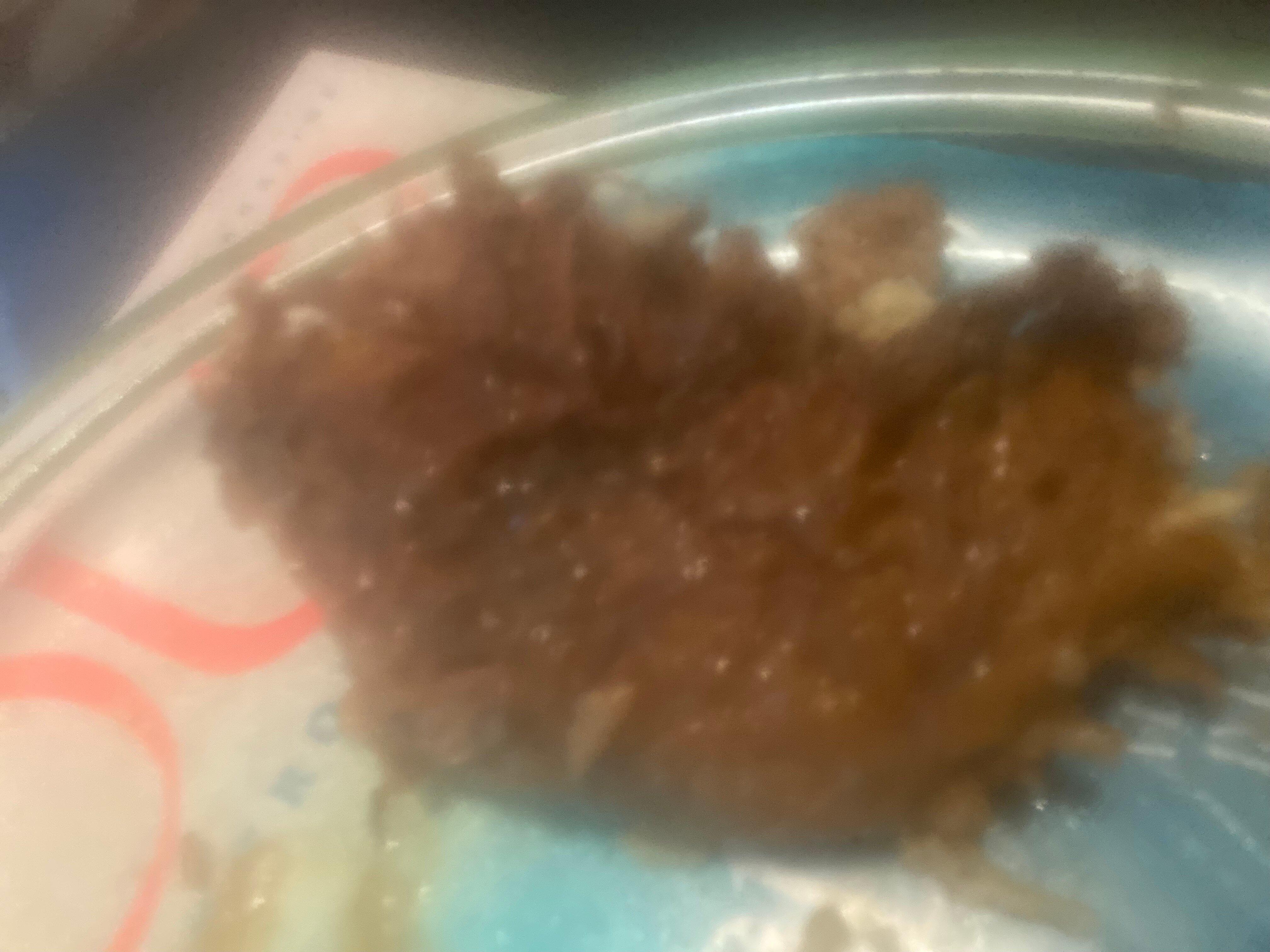 Golden Bowl Chop Suey