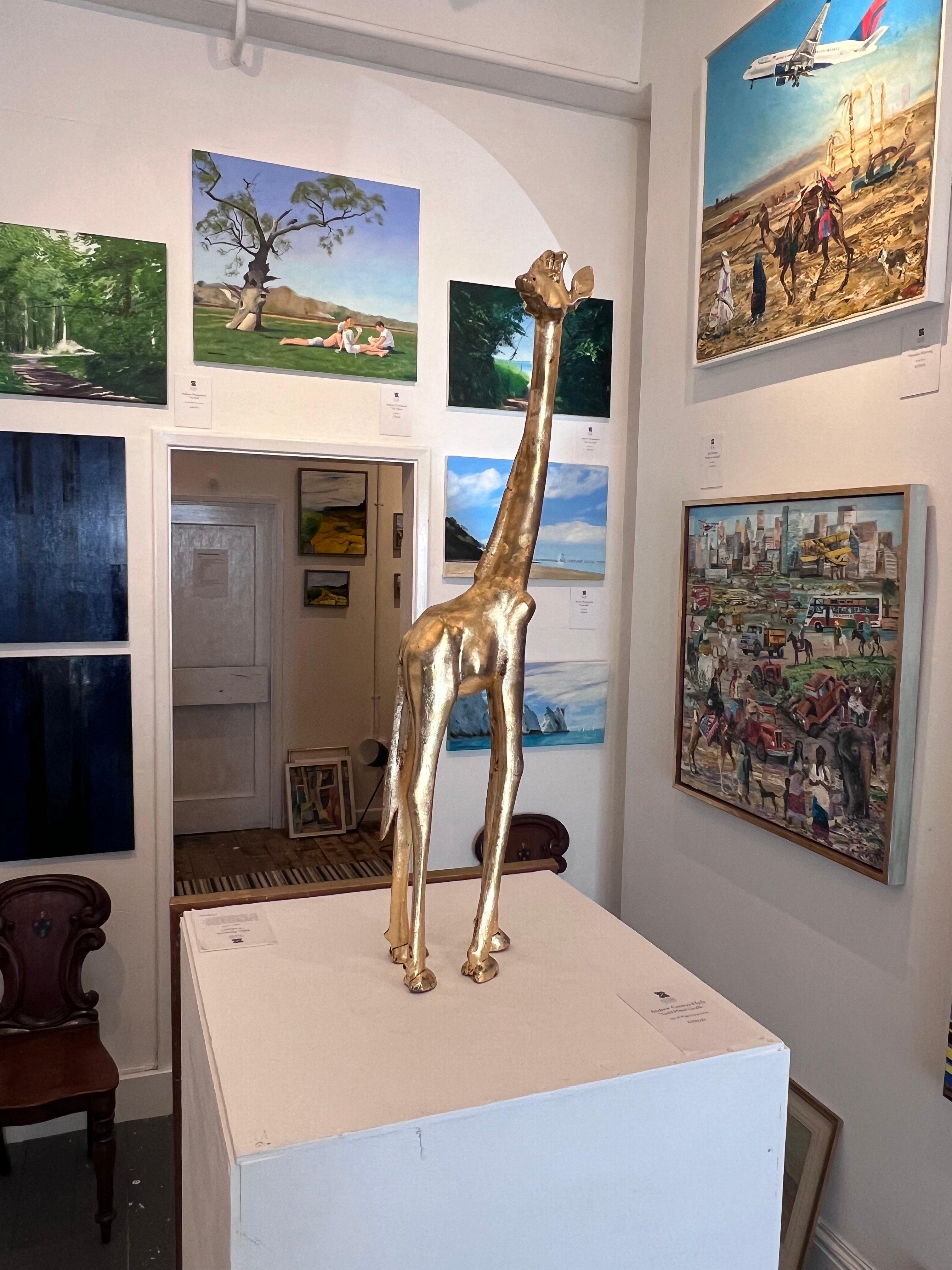 Isle of Wight Gallery