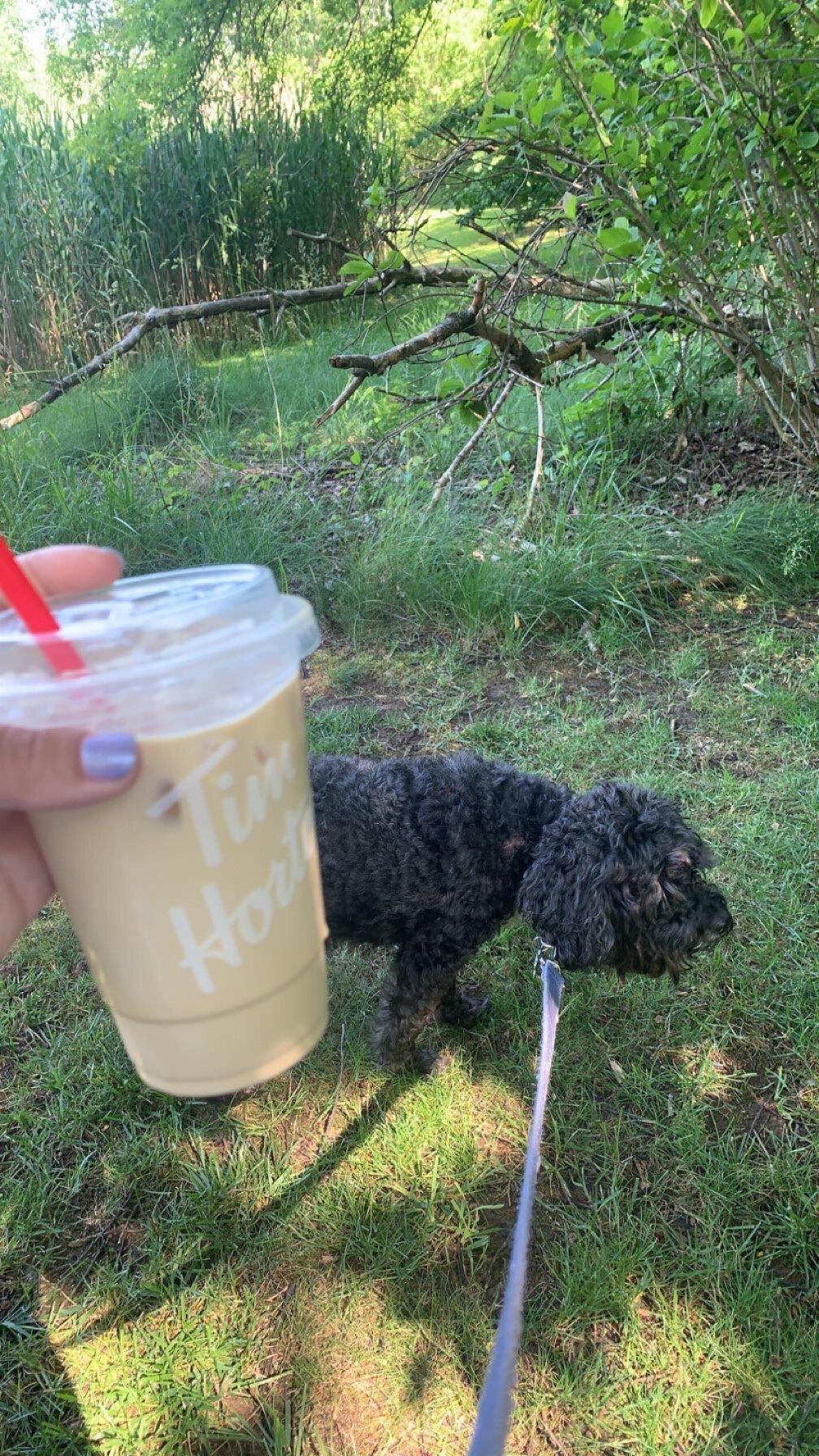 Photo by 816briannap