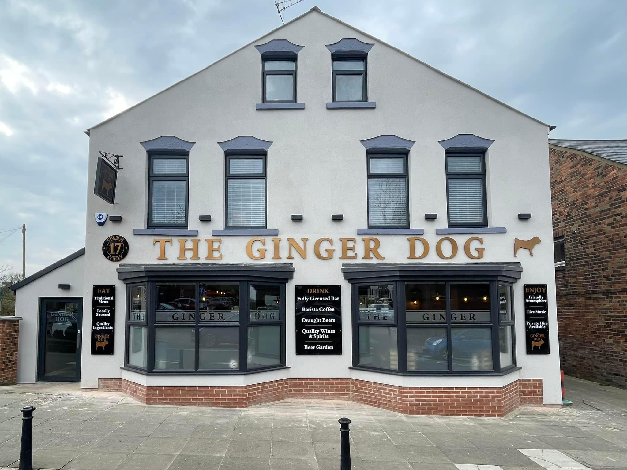 Ginger Dog