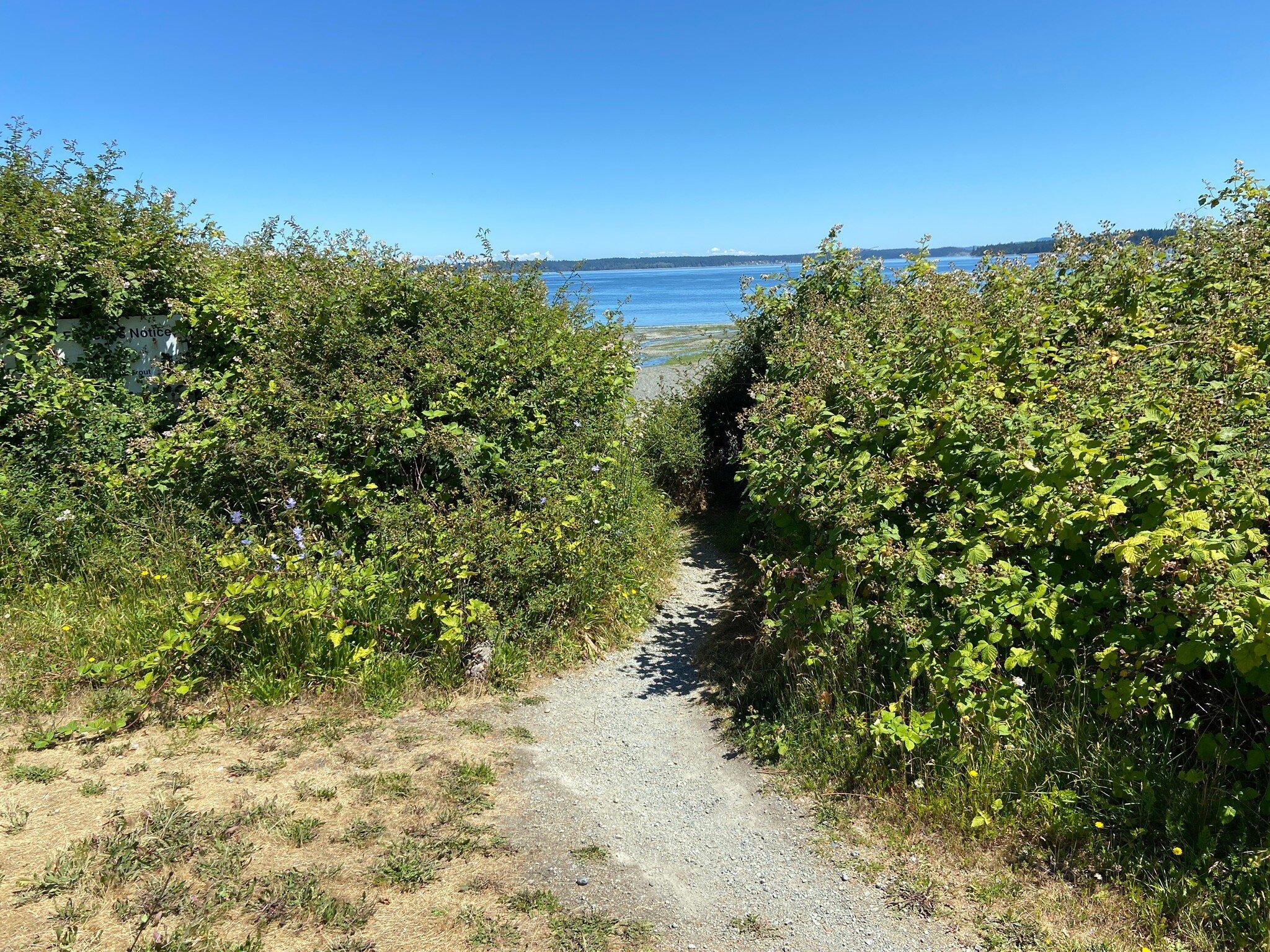 Lochside Waterfront Park