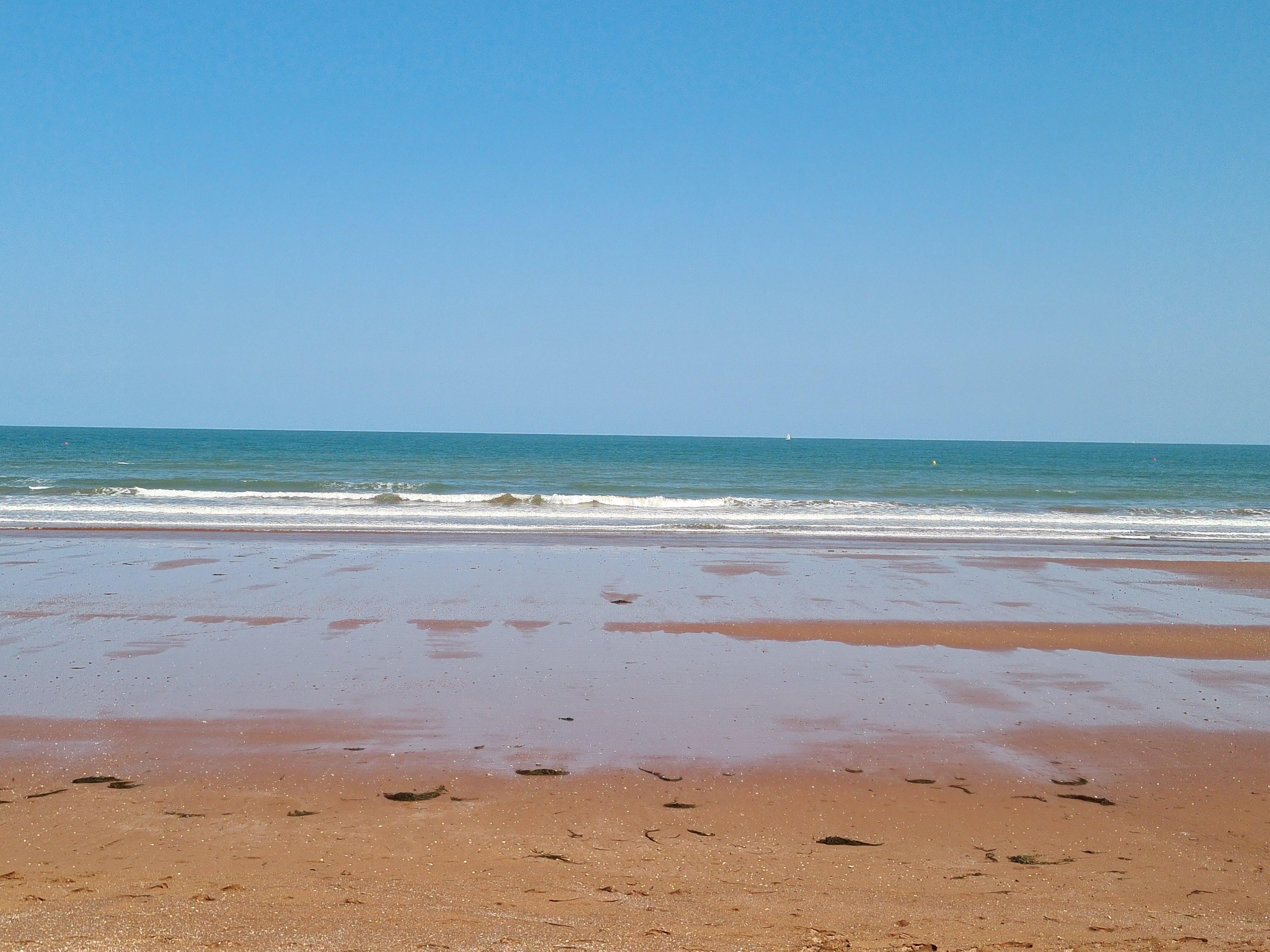 The Miggi Vegan Guesthouse