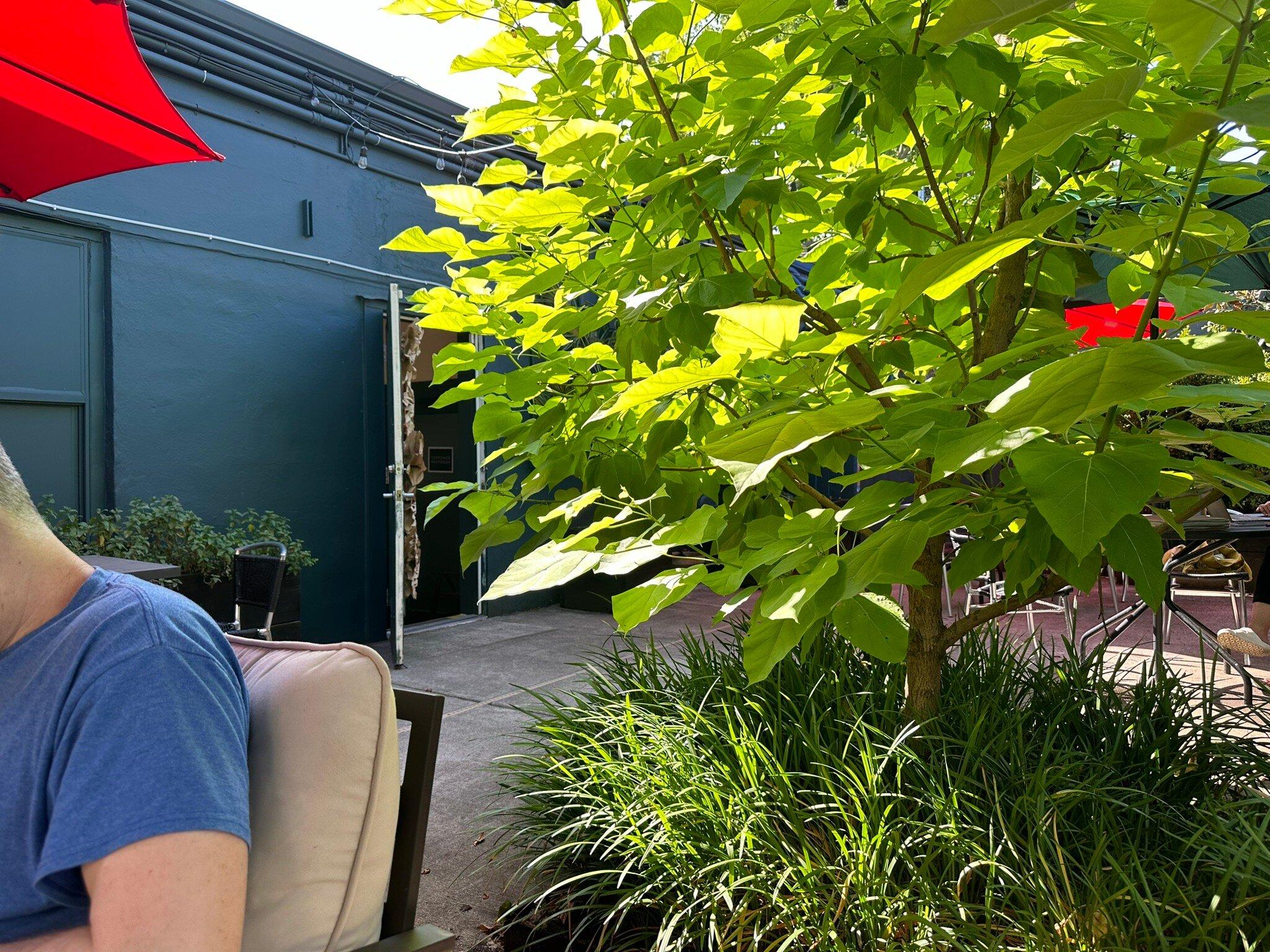 Photo by PdxSamAdams