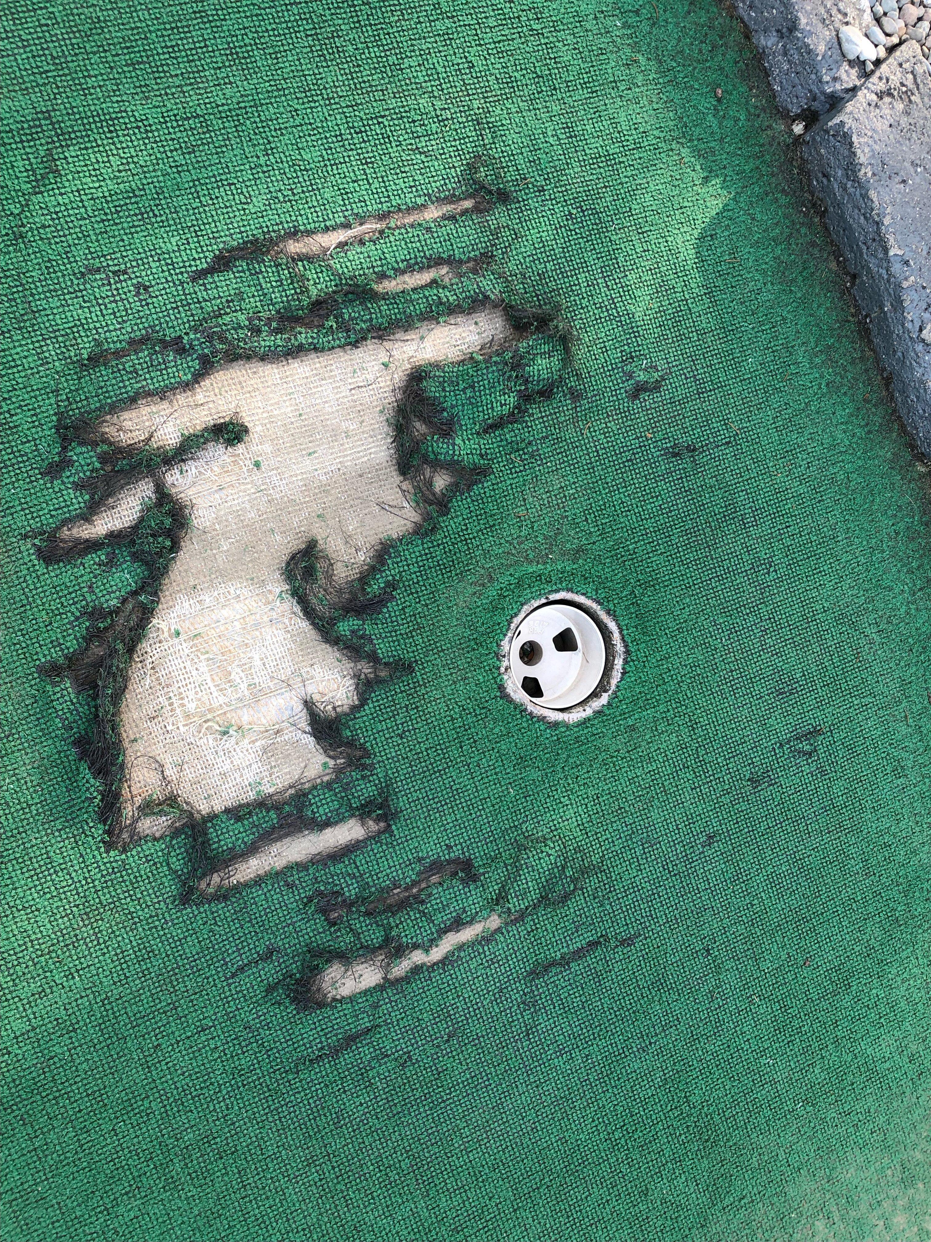 Photo by W5678HVjenniferl