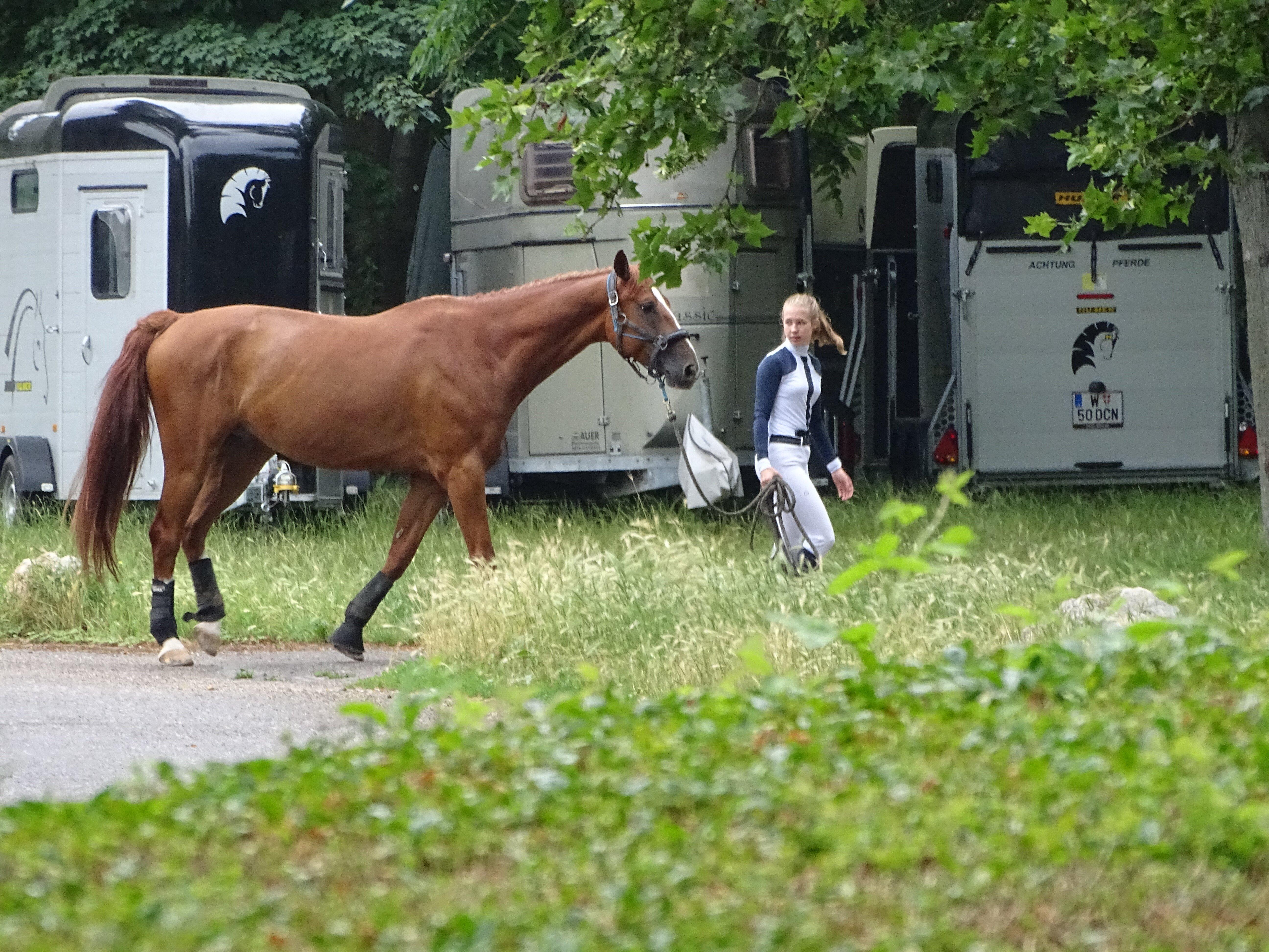 Wiener Galopprennverein
