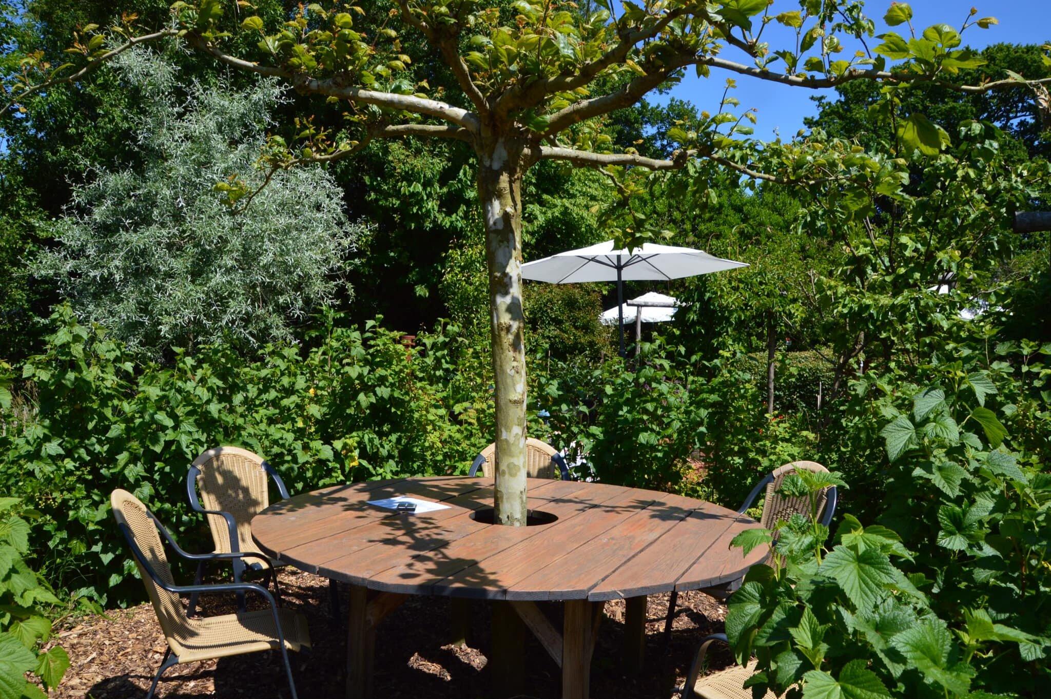 Theetuin de Baggelhof