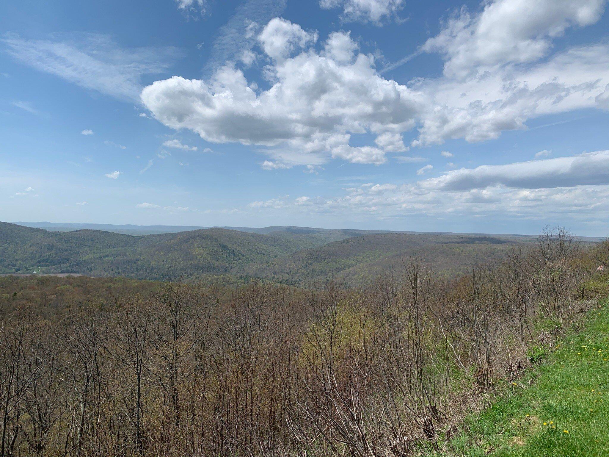 Loyalsock State Forest