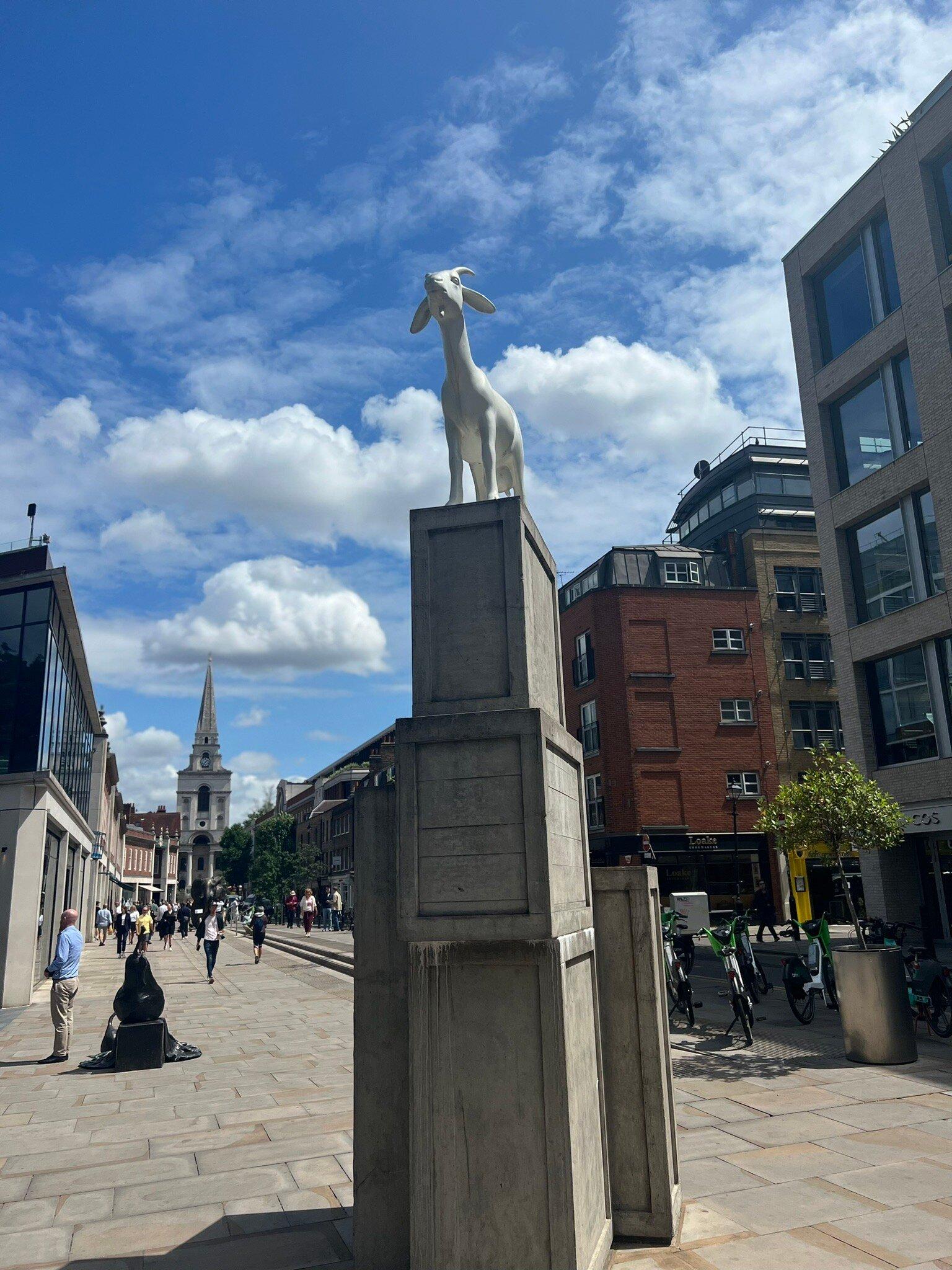 Photo by StephenCr0ss