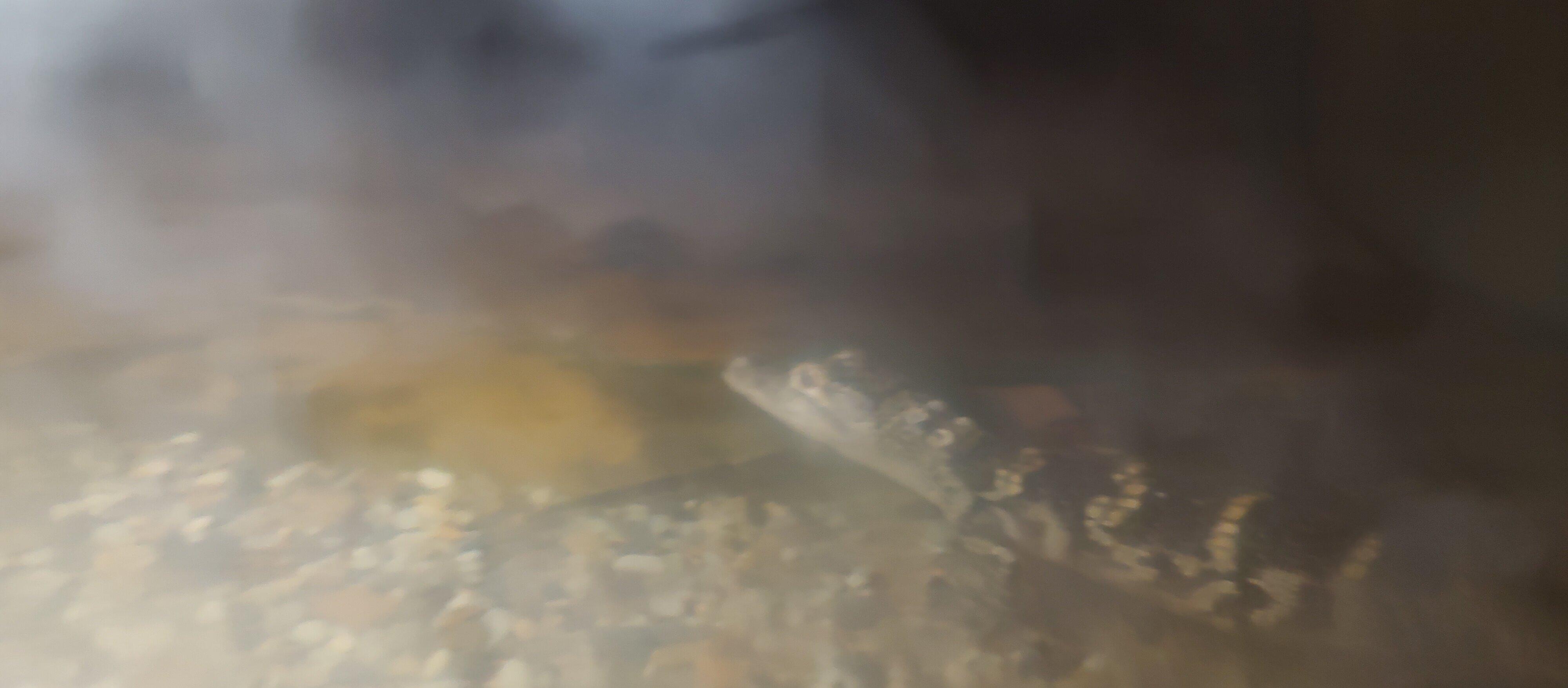 Edenton National Fish Hatchery