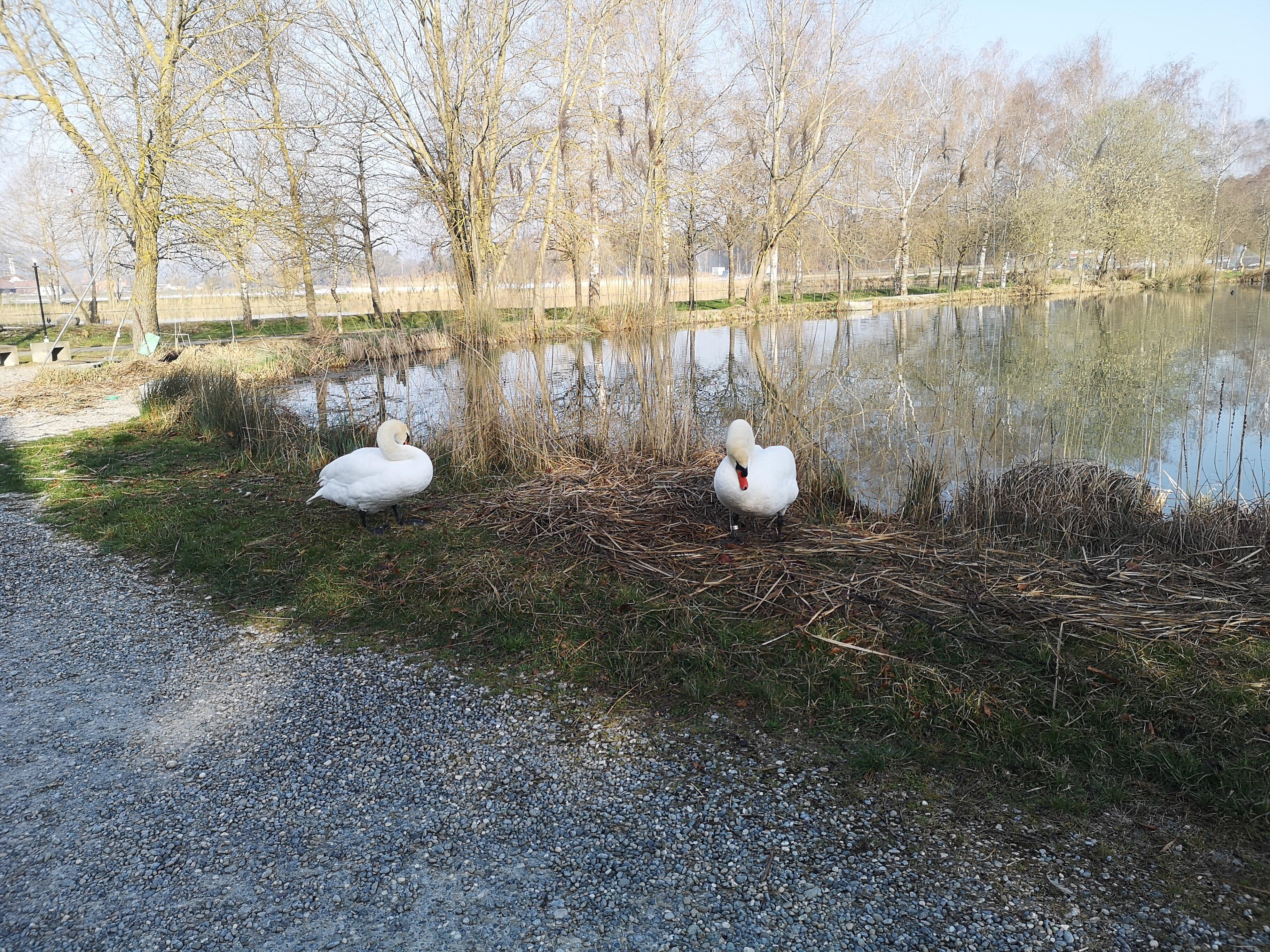 Quellpark Kundelfingerhof