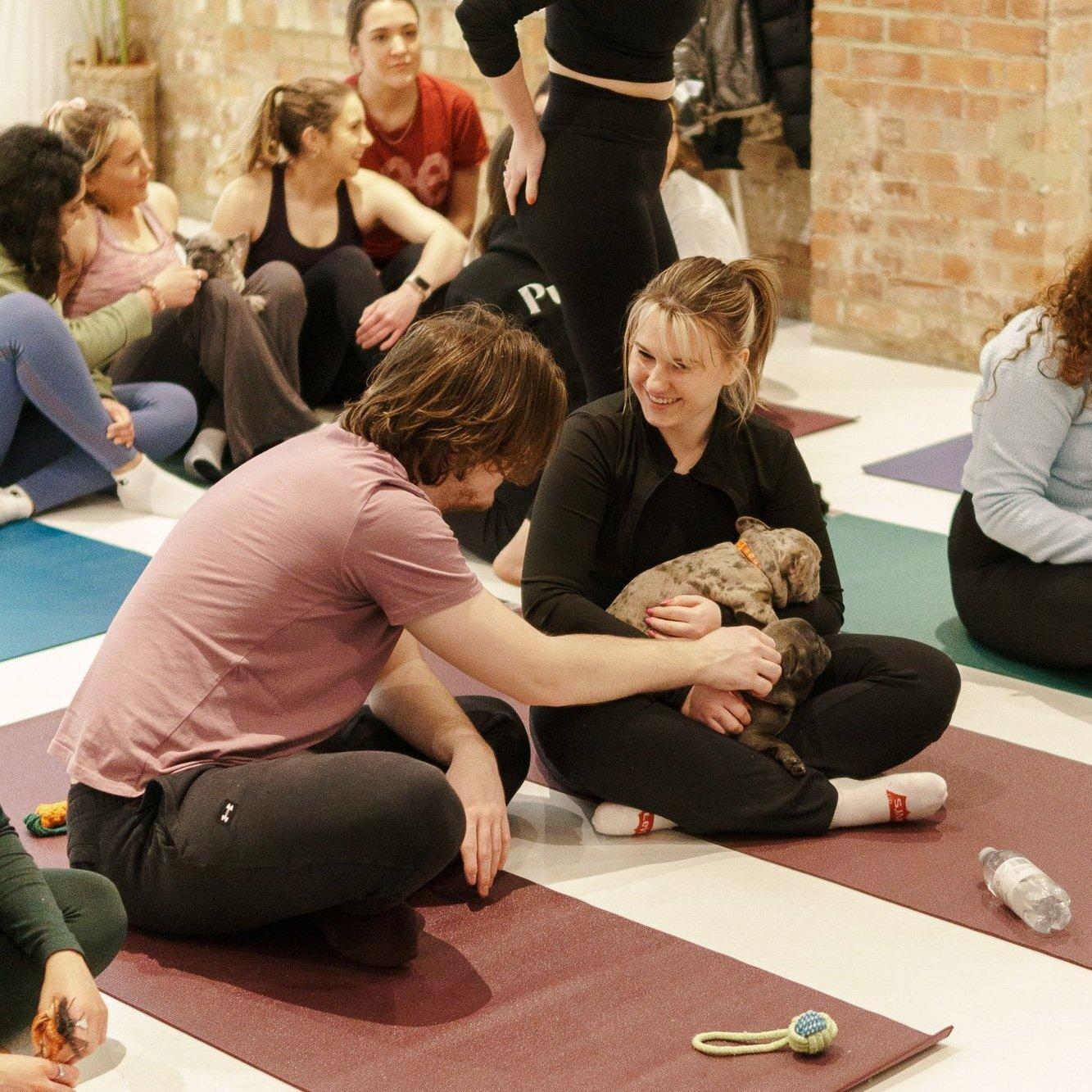 Puppy Yoga Company
