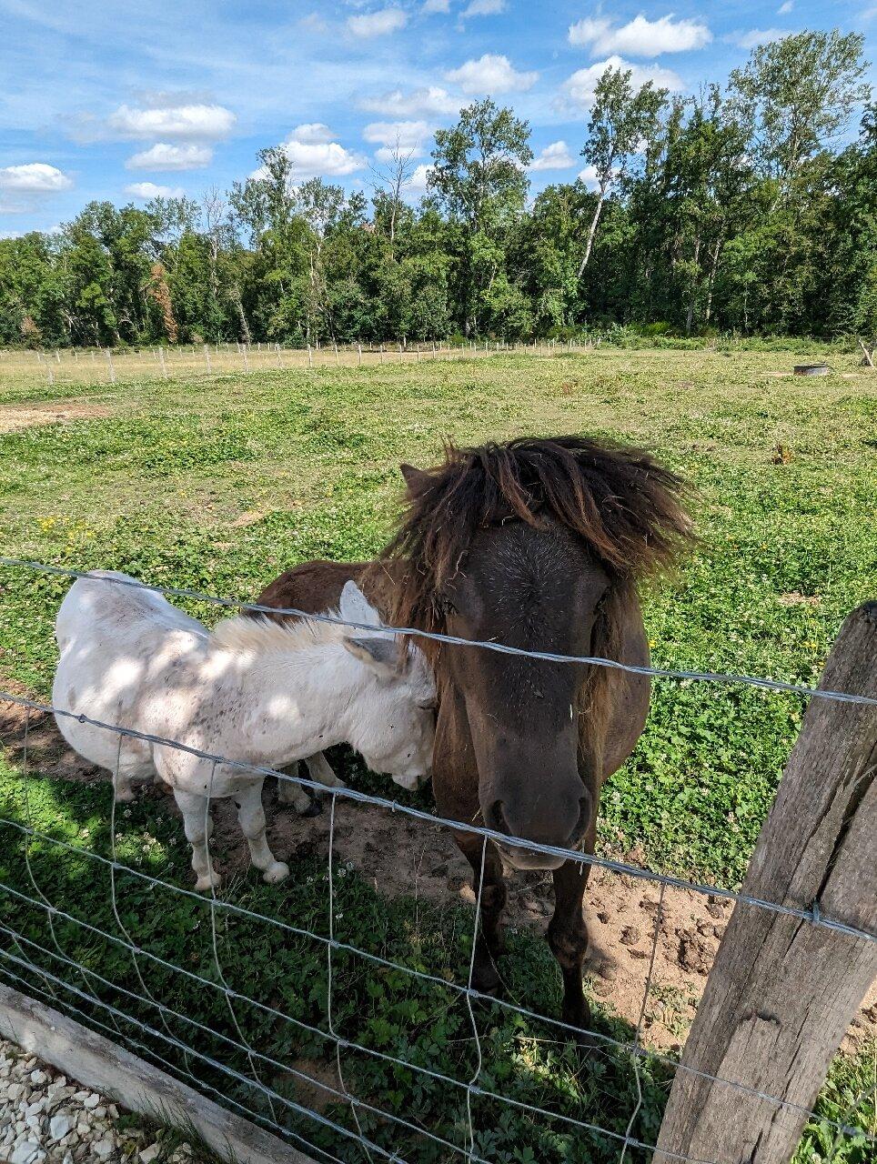 Parc Animalier Domaine De Revert