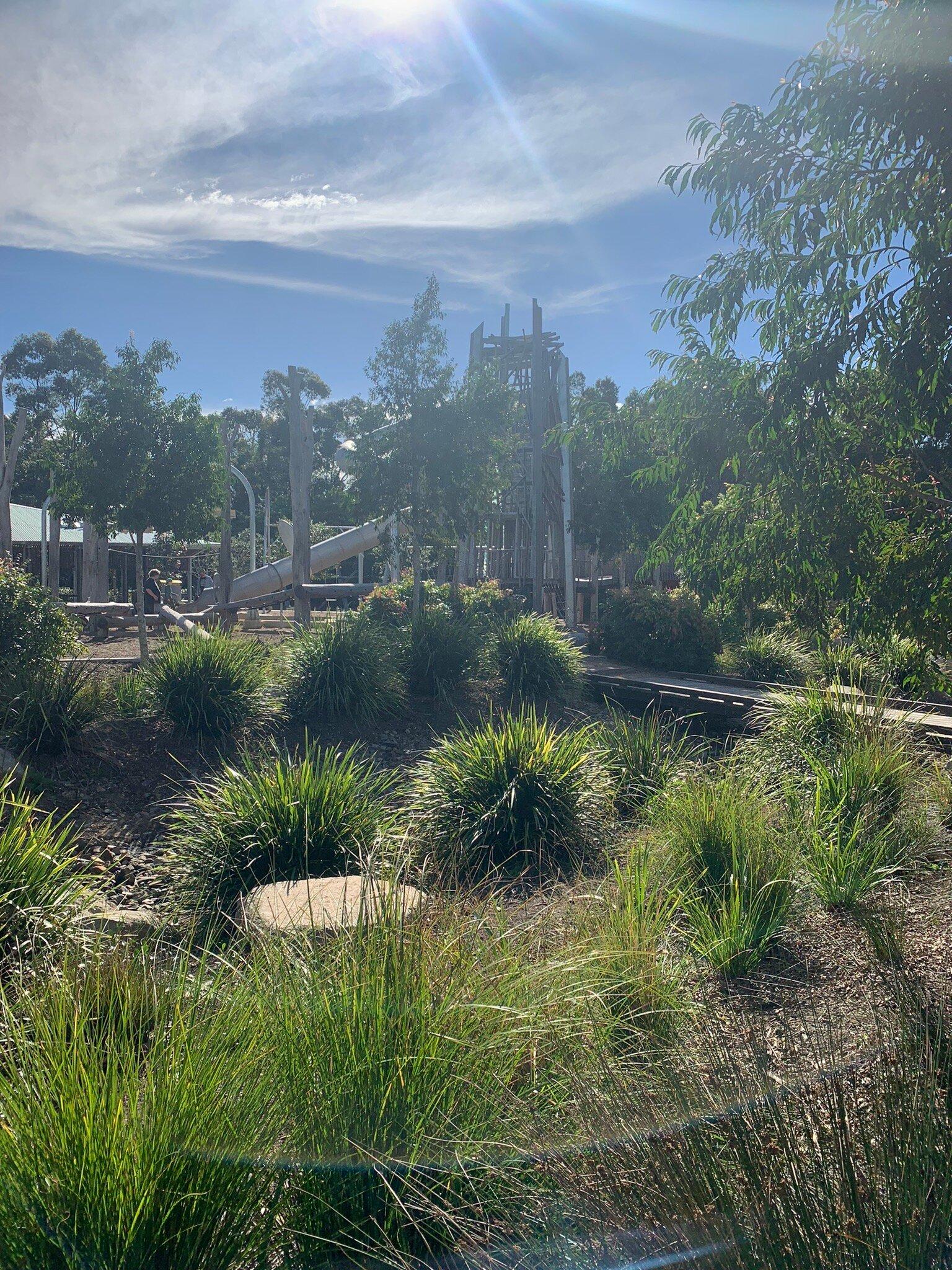 Hinterland Adventure Playground, Cooroy