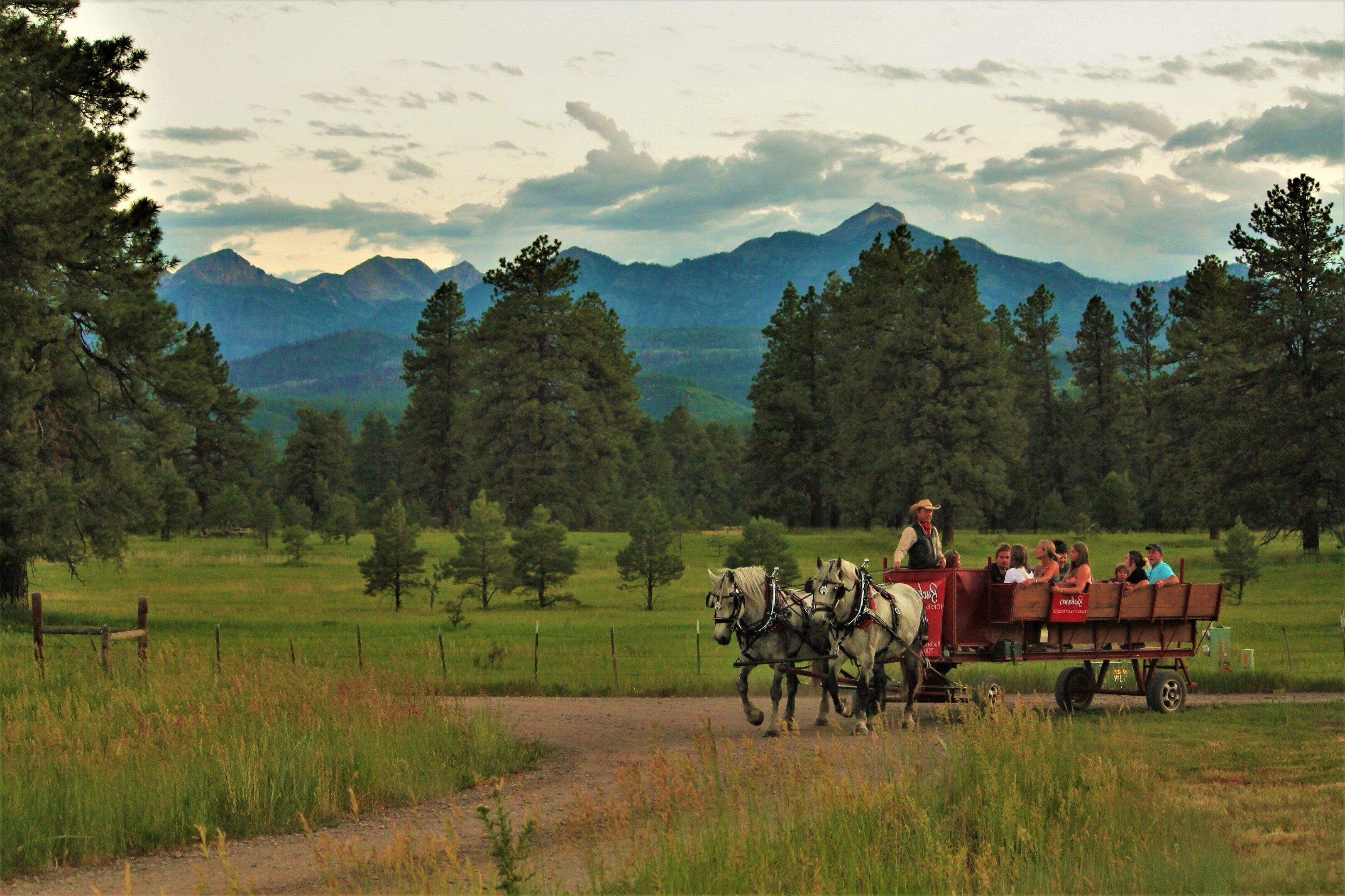 Buckaroos Horse-Drawn Rides
