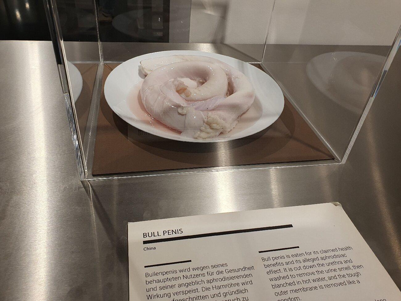 Disgusting Food Museum Berlin