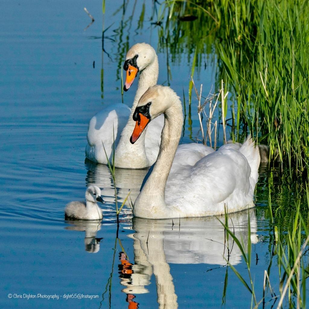 Alberta Holiday Park - Park Holidays UK