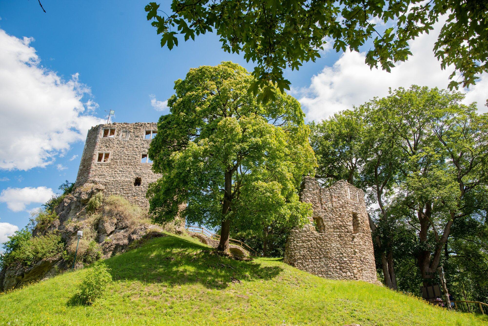 Burgruine Liebenstein