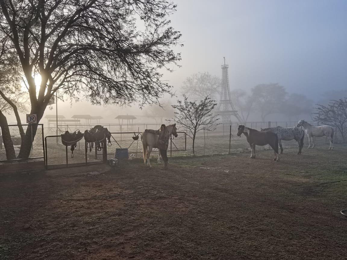 Pasio Life: Koedoeslaagte Horseback