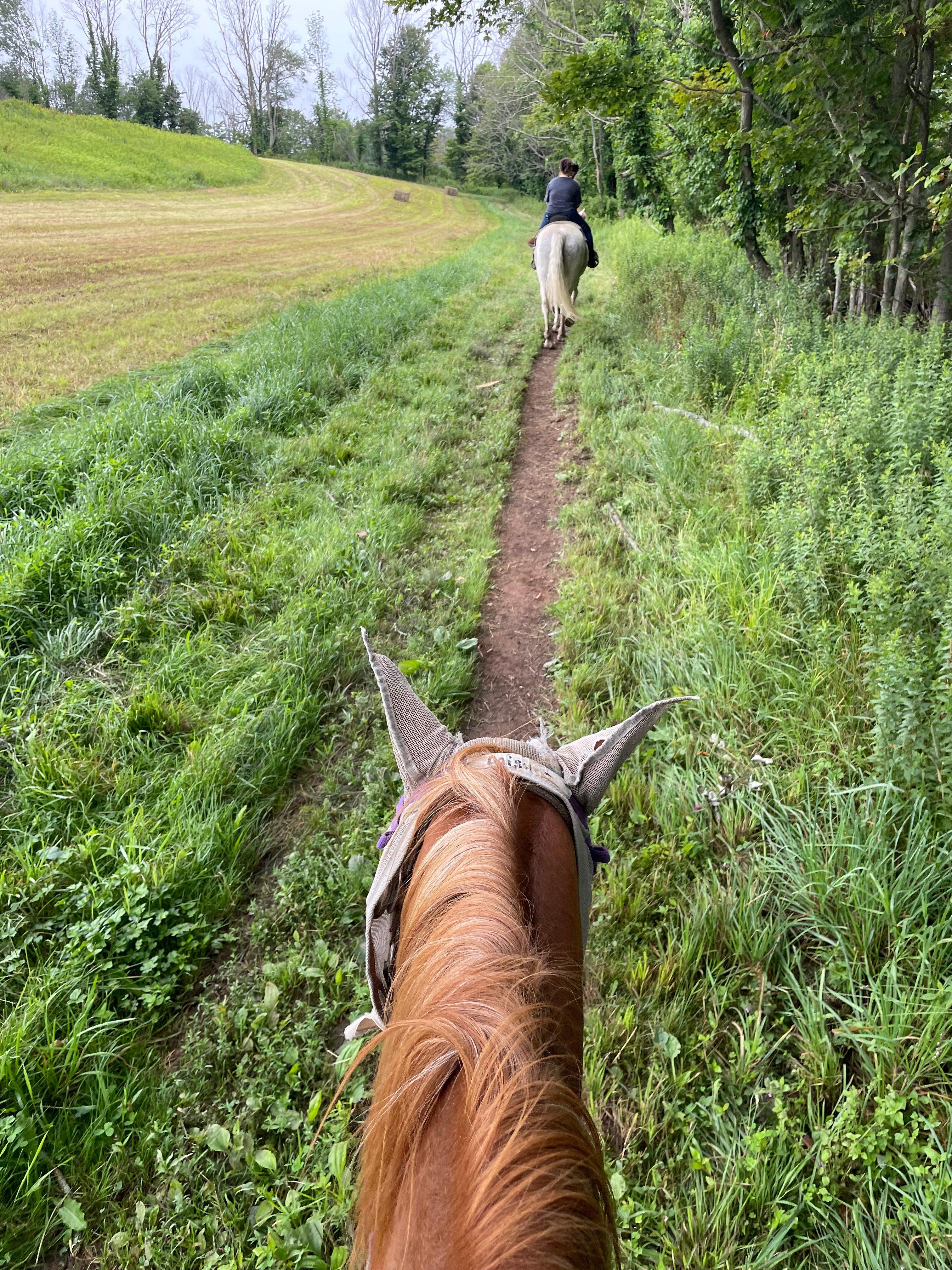 Happy Trails Riding