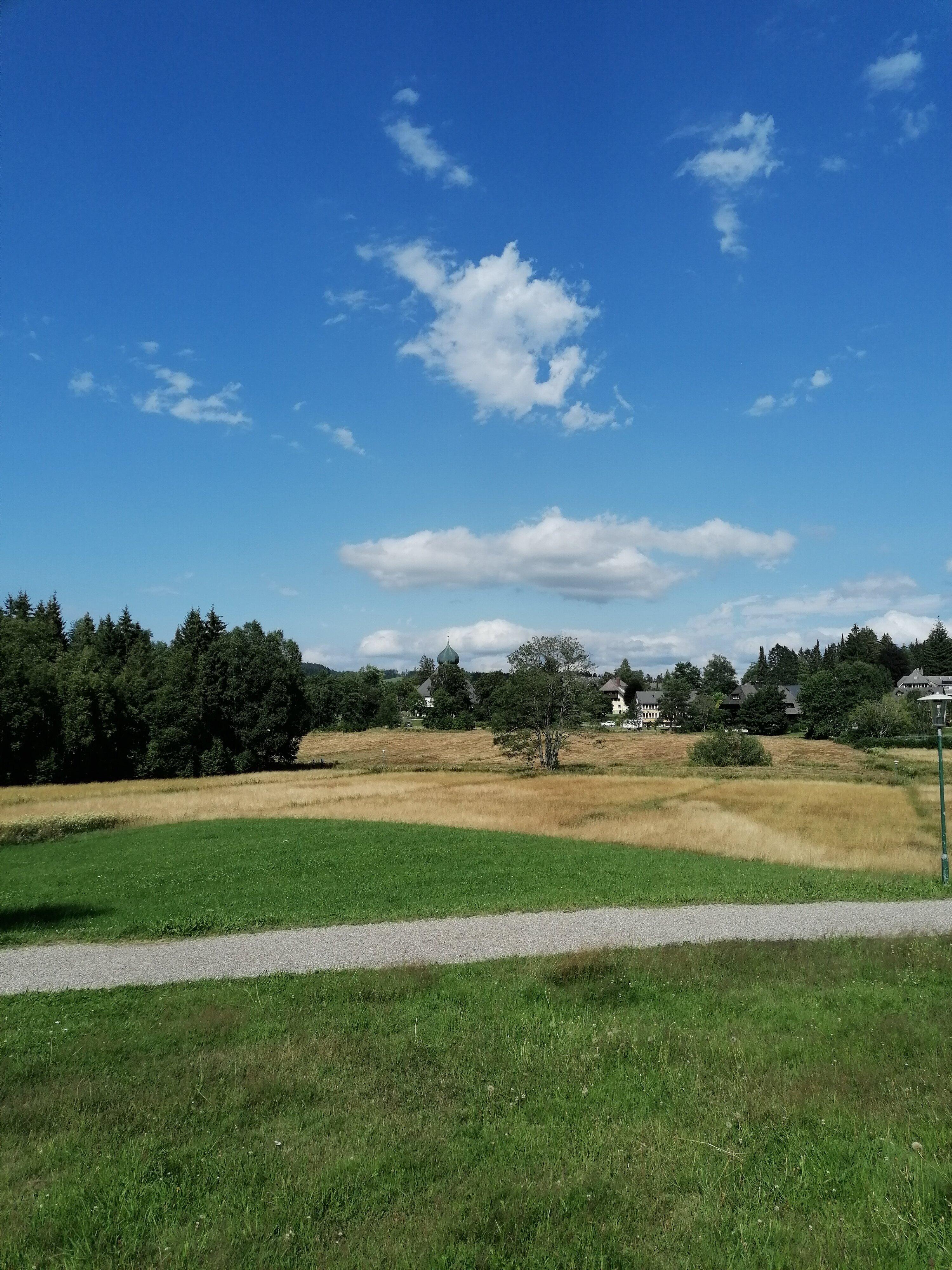 Braviscasa Ferienresidenz Hinterzarten