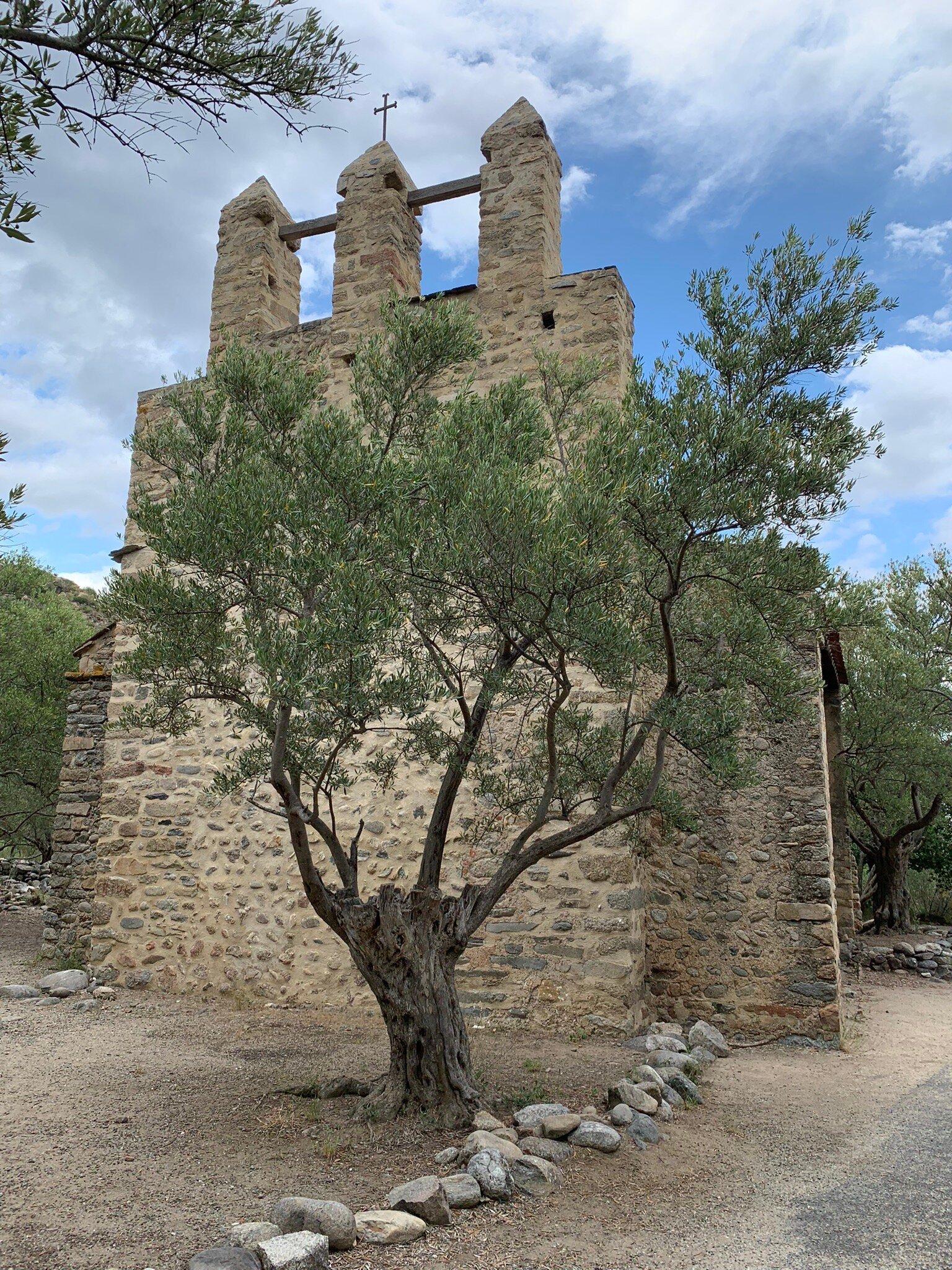 Chapelle De Saint Saveur De Casenoves