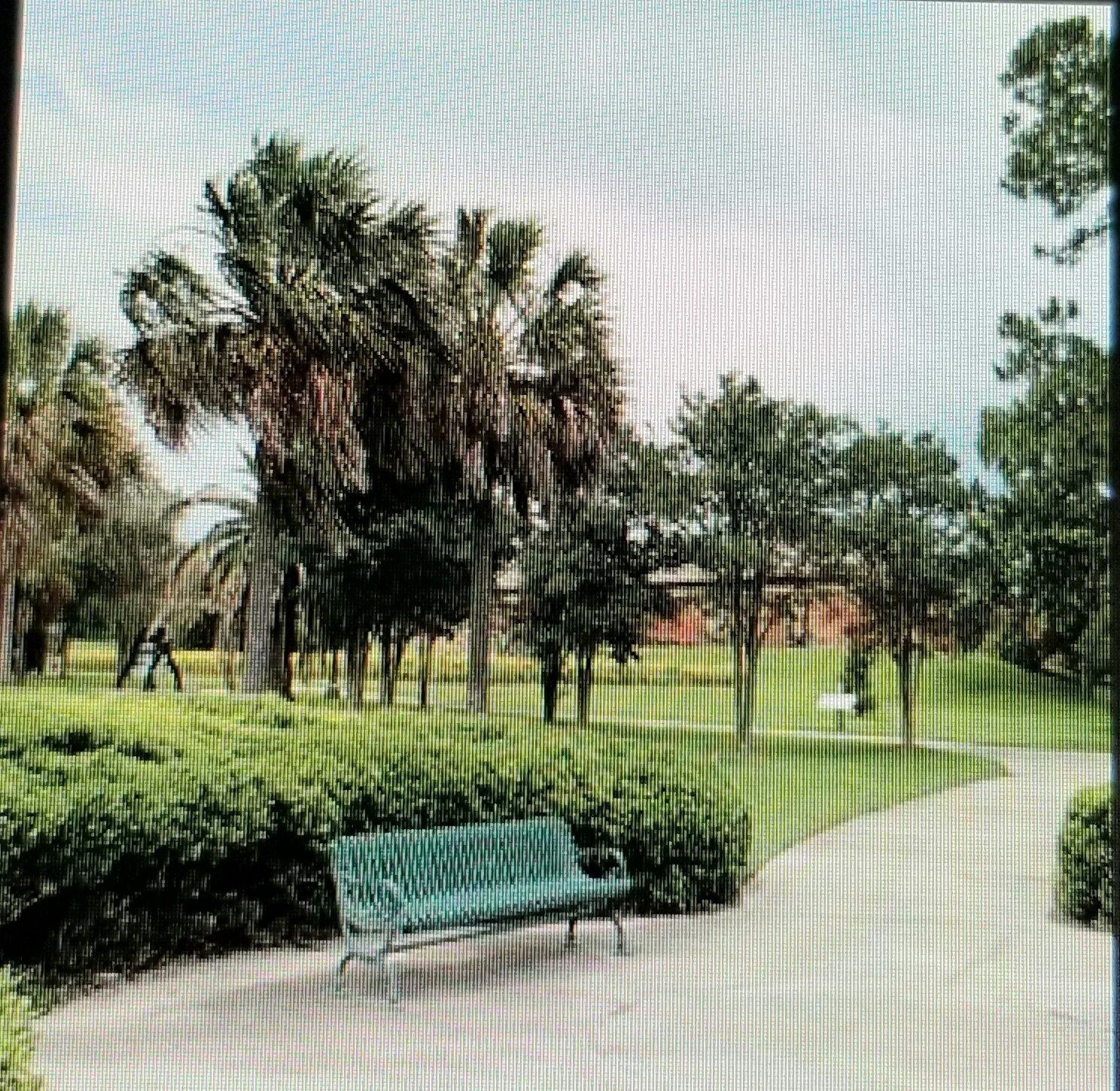 Repentance Park