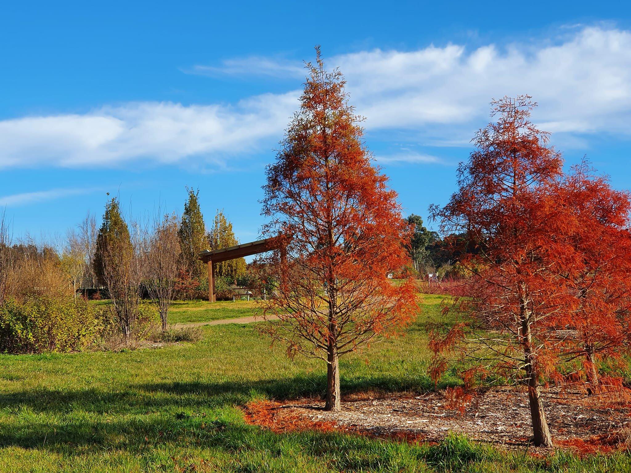 Southern Highlands Botanic Gardens