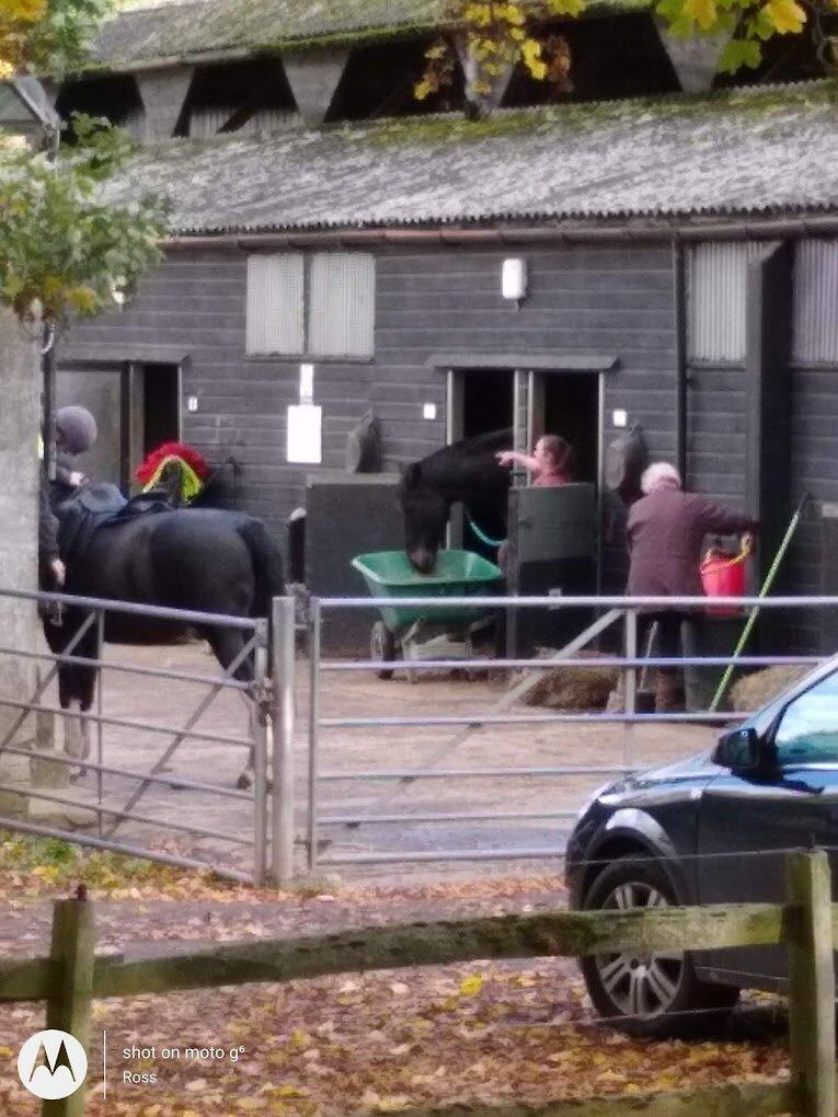 Great Bookham Equestrian Centre