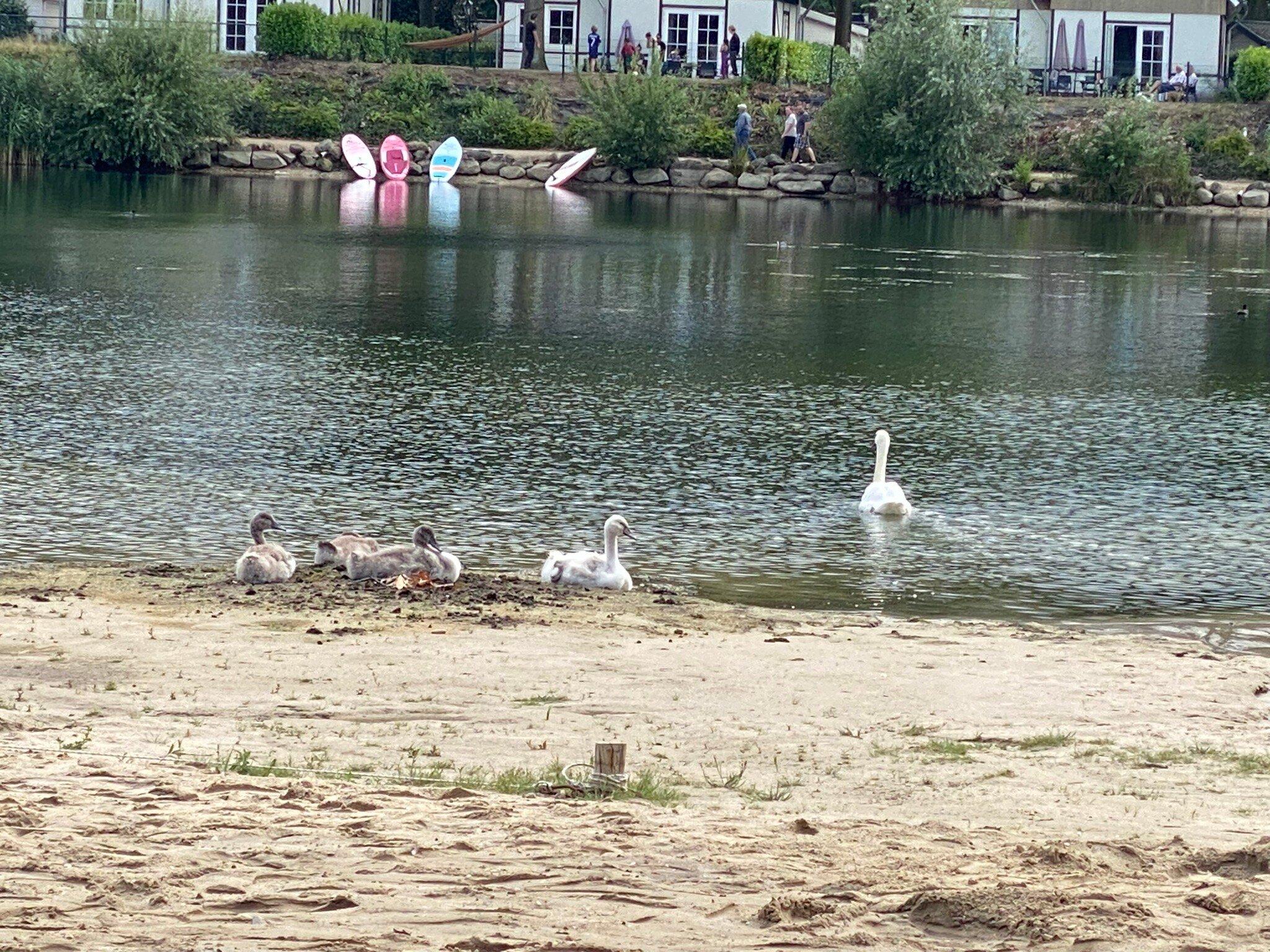 EuroParcs Resort Limburg