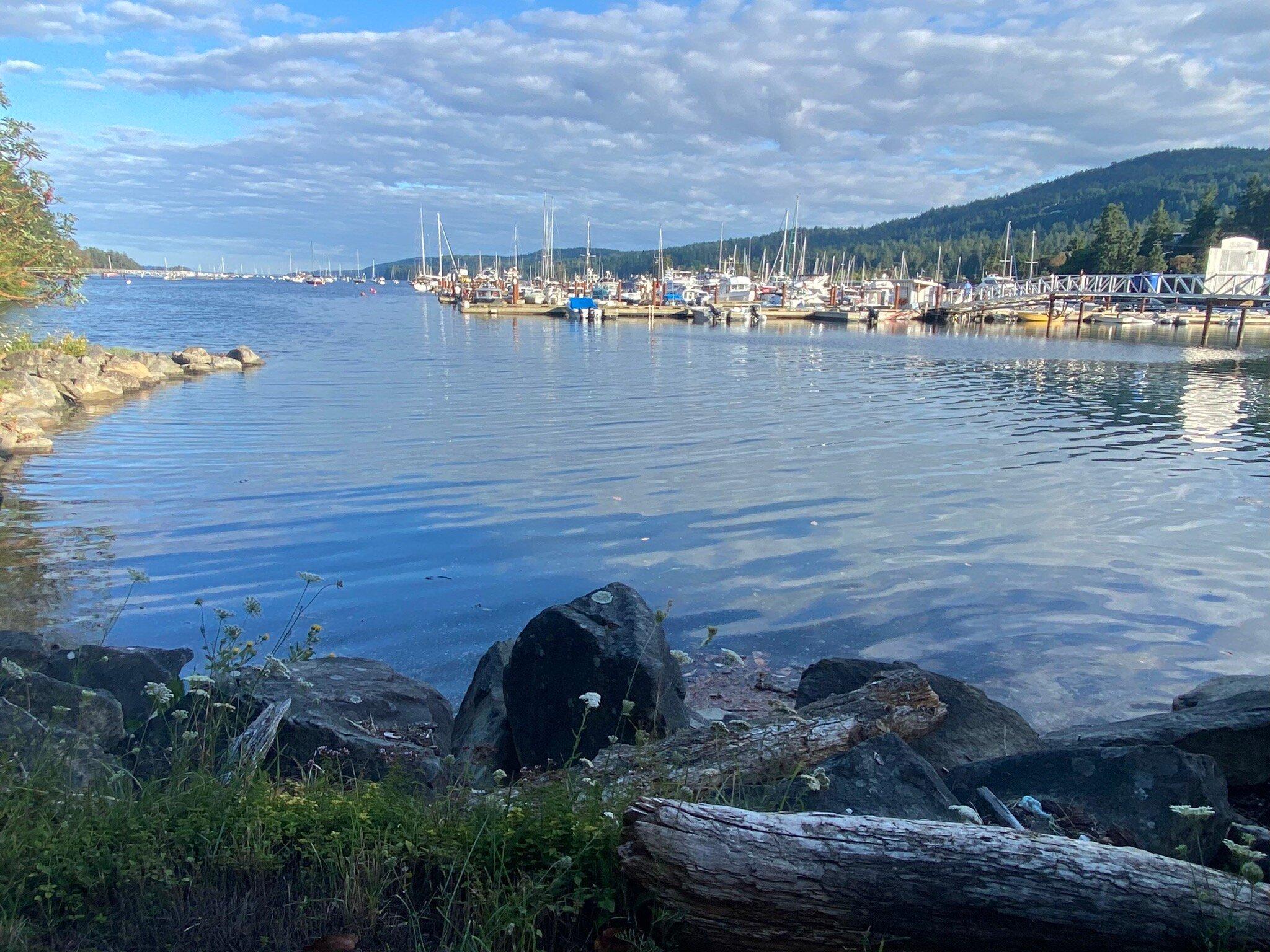 Salt Springs Run Marina & Landing