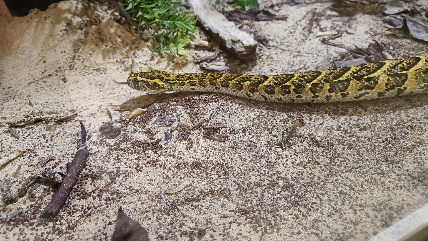 Nordharzer Schlangenparadies