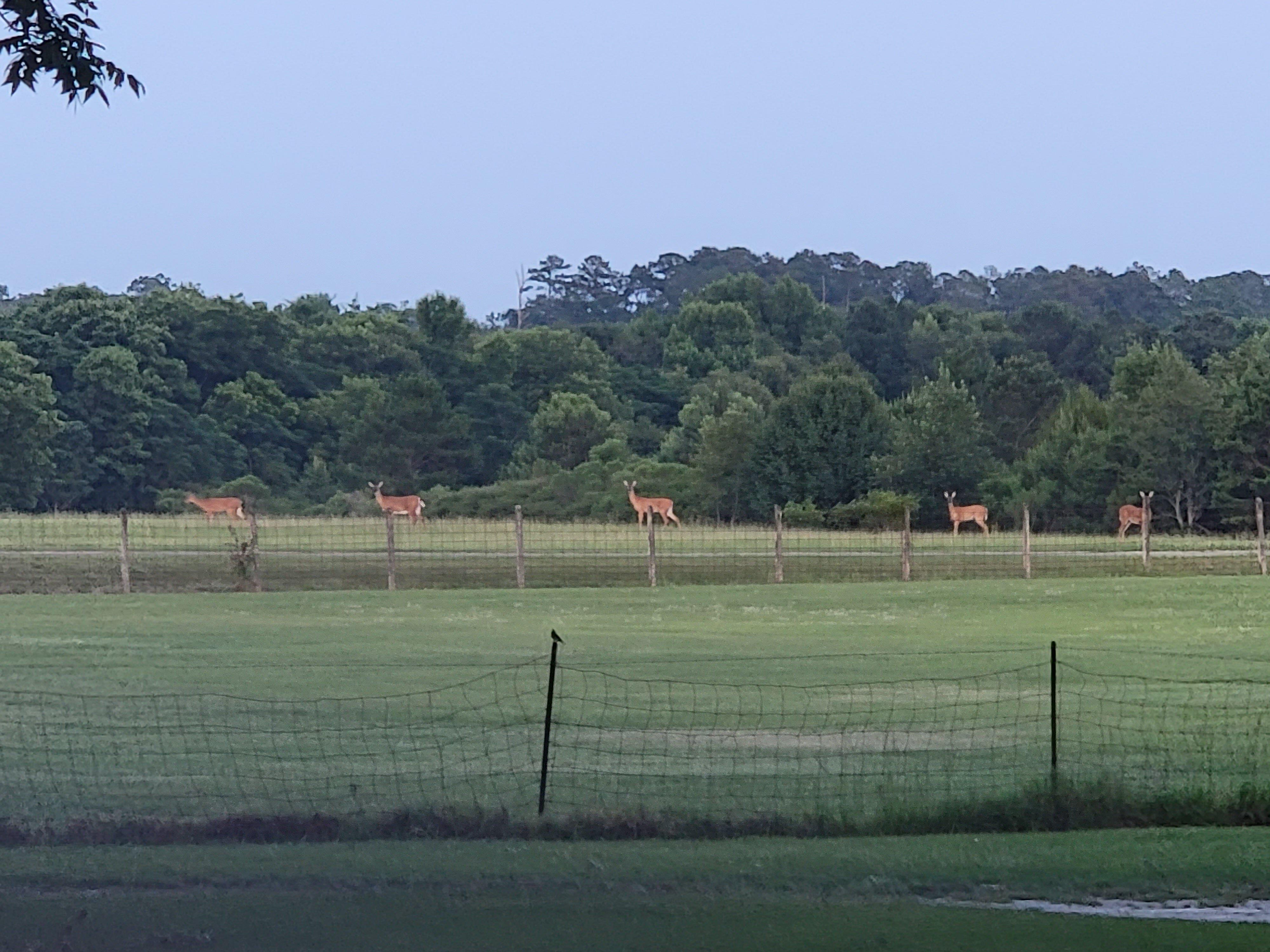 Southern Trails RV Park