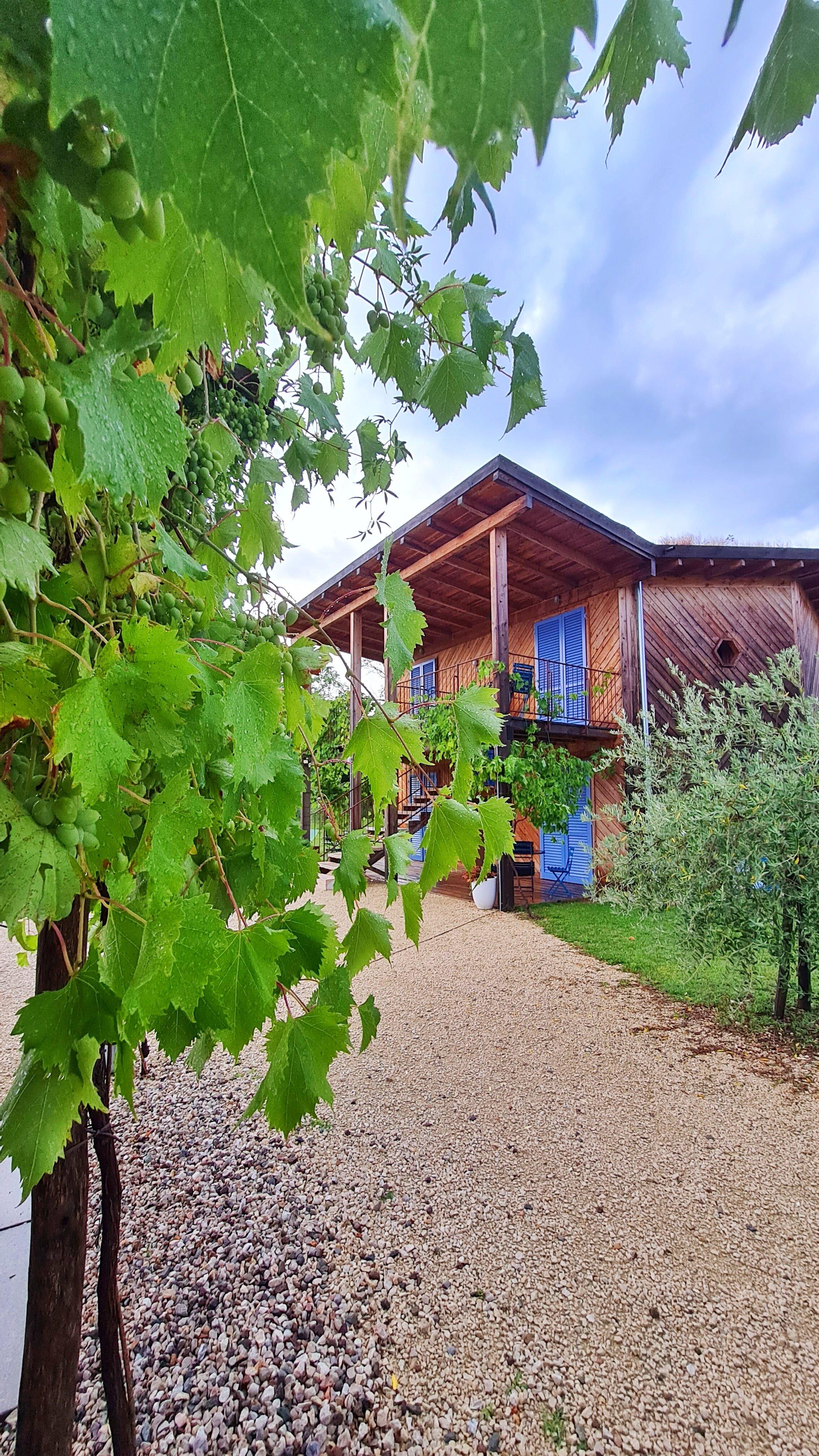 Casa Viva - Eco sleep & Bio Pool