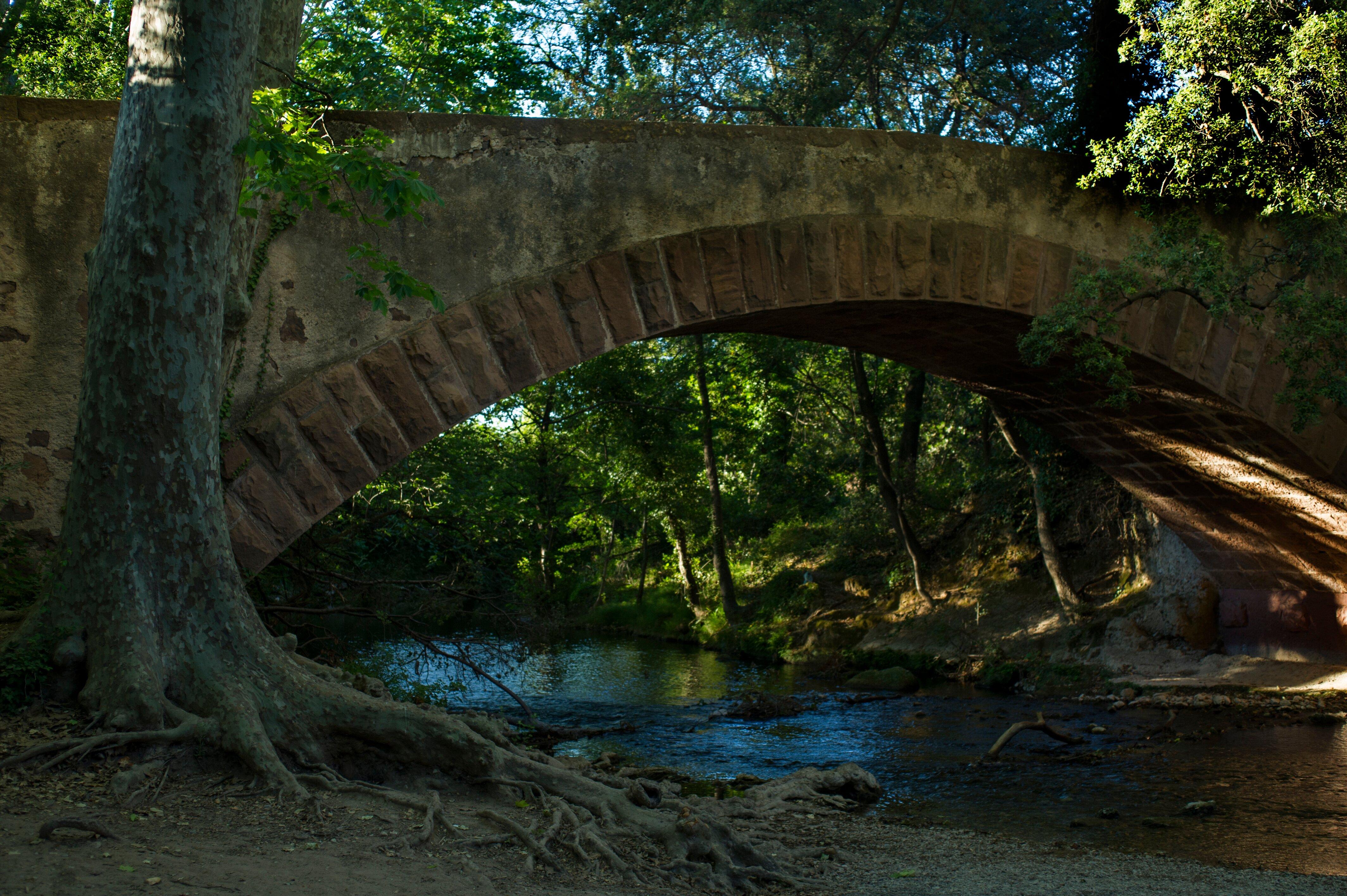 Château La Castille - Solliès-Ville