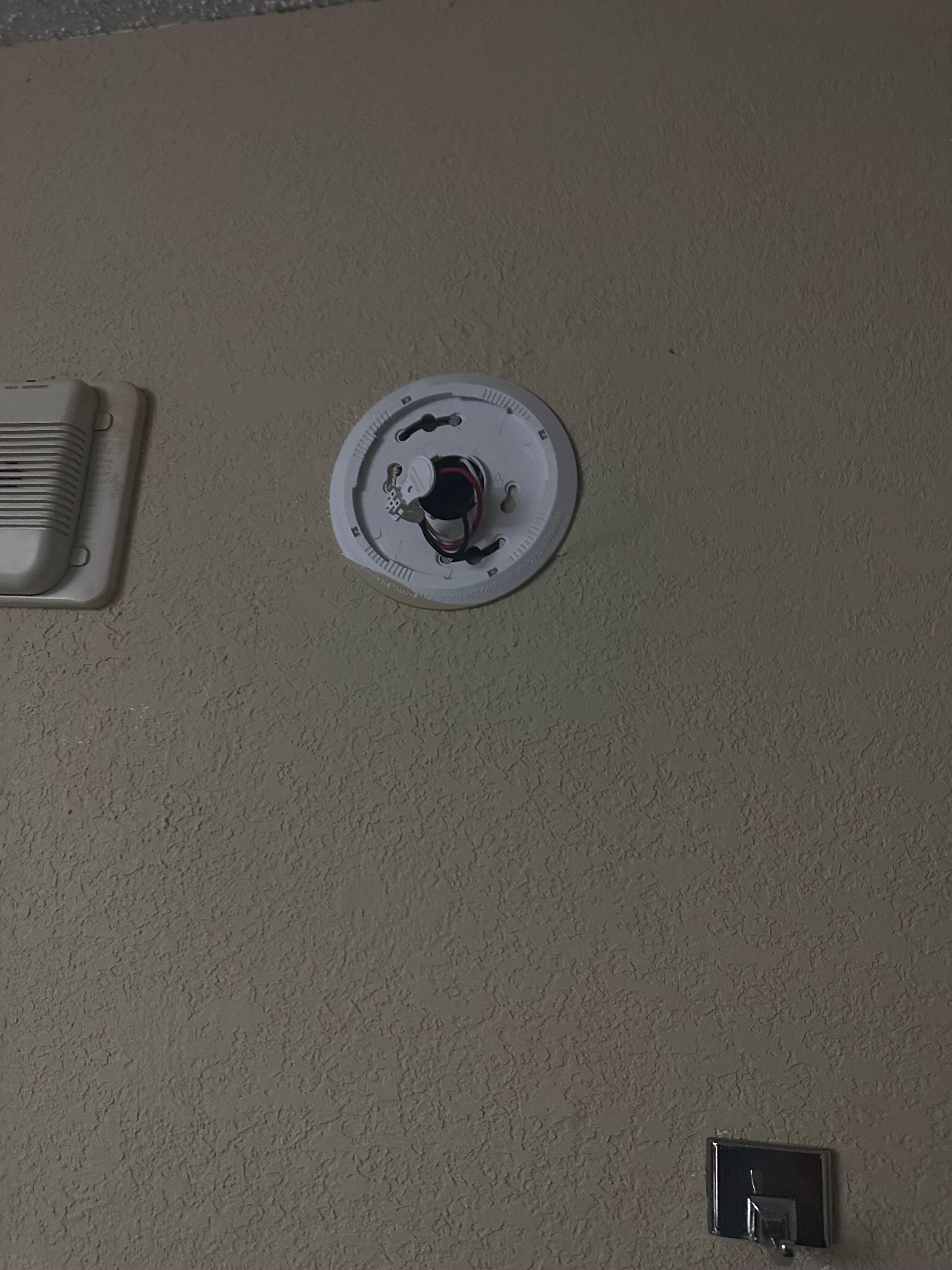 Photo by User3839202037