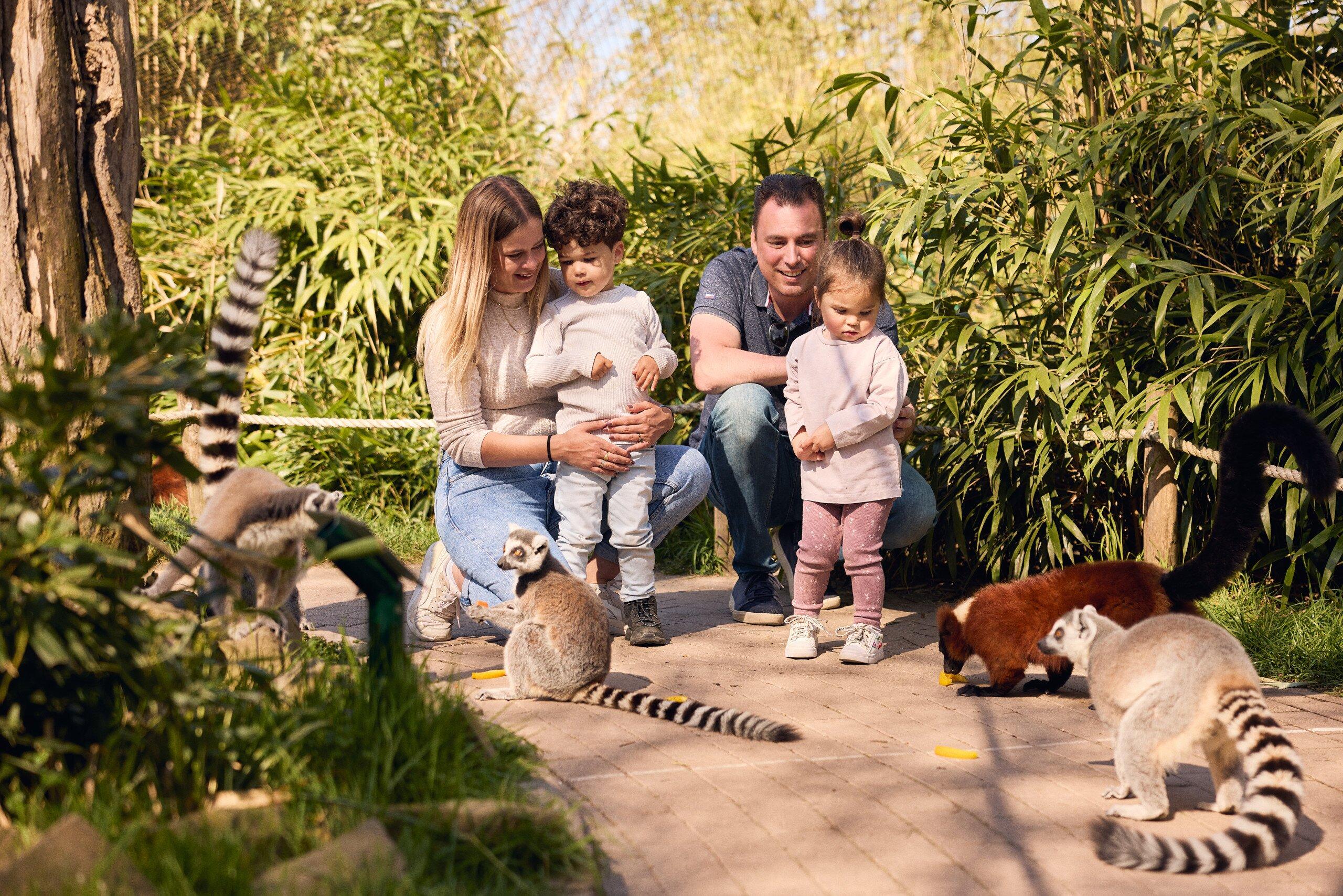 Eindhoven Zoo (voorheen Dierenrijk)