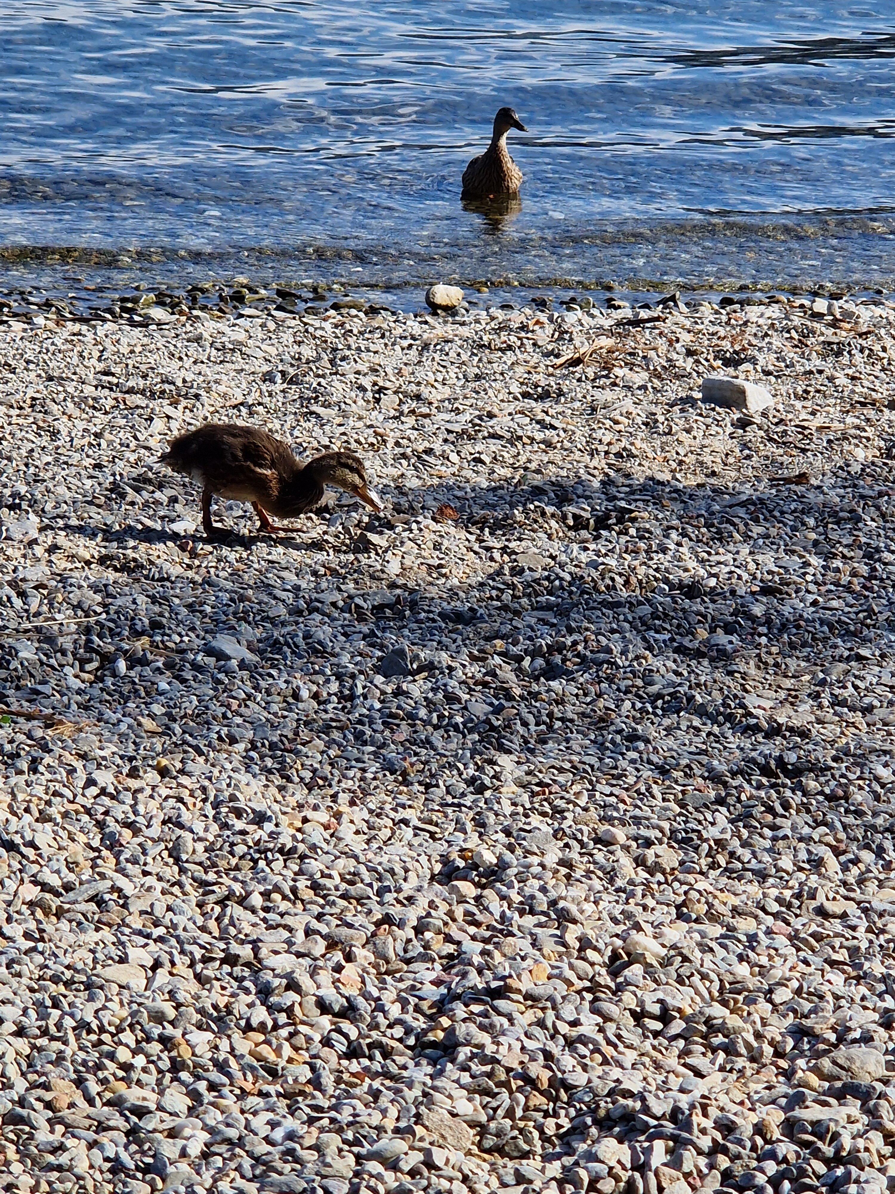 Spiaggia Prarolo