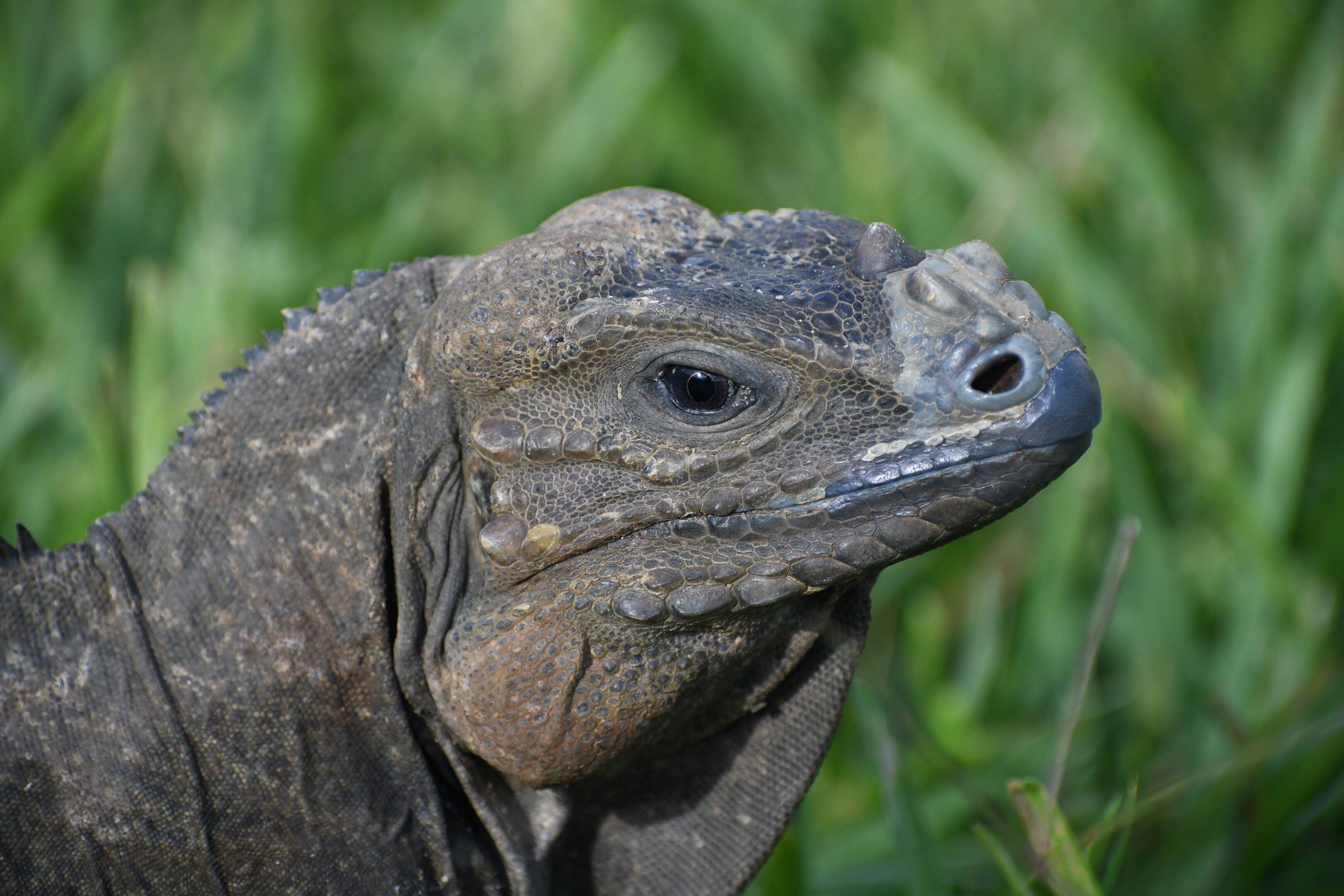 Fragile Planet Wildlife Park