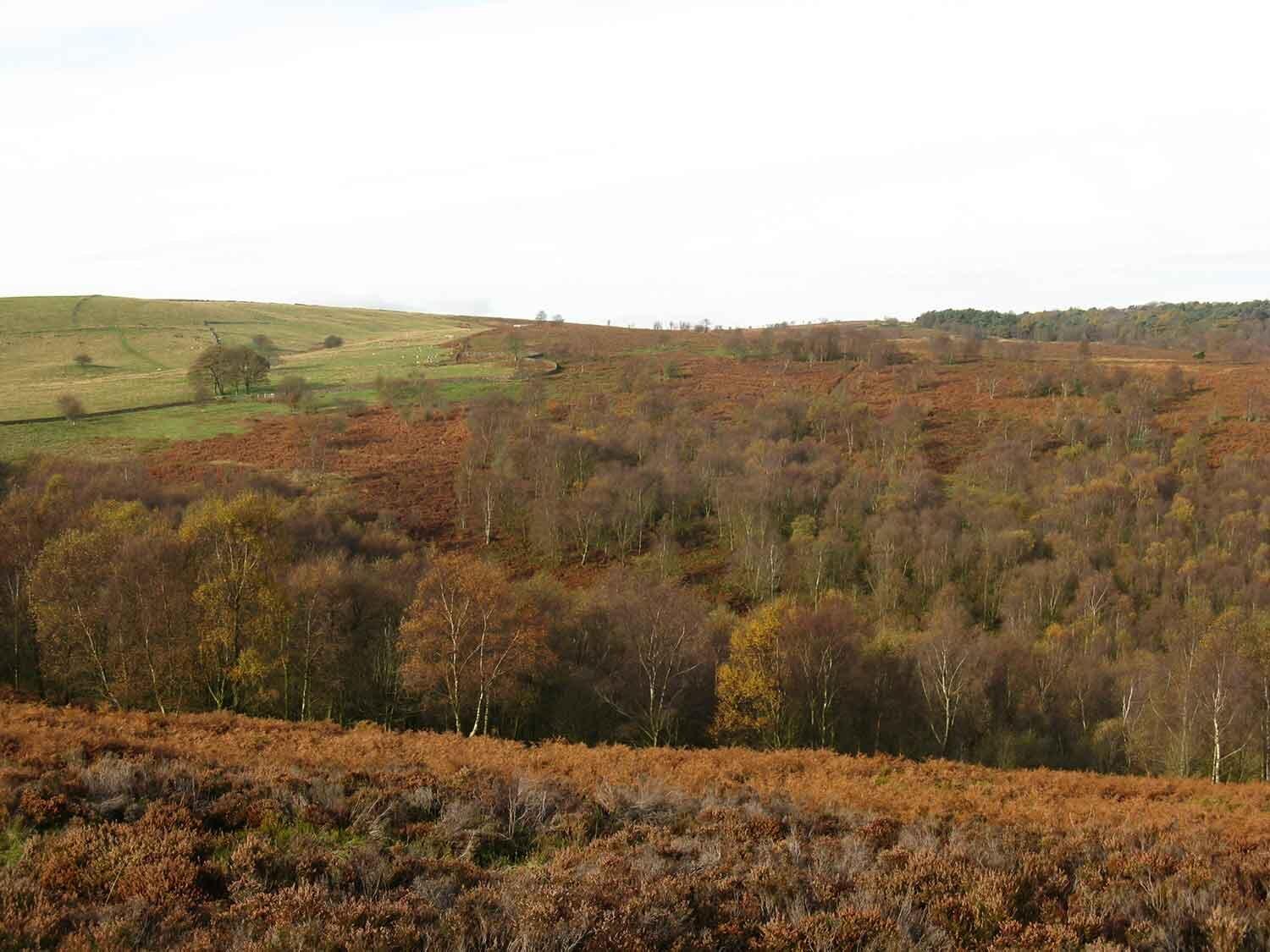 Blacka Moor Nature Reserve