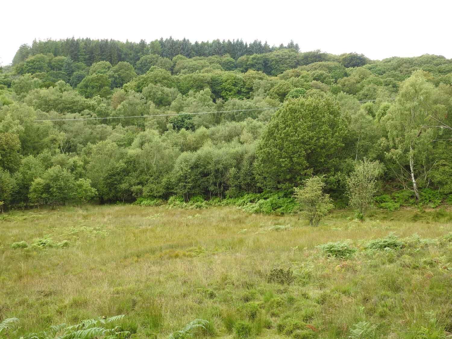 Agden Bog Nature Reserve