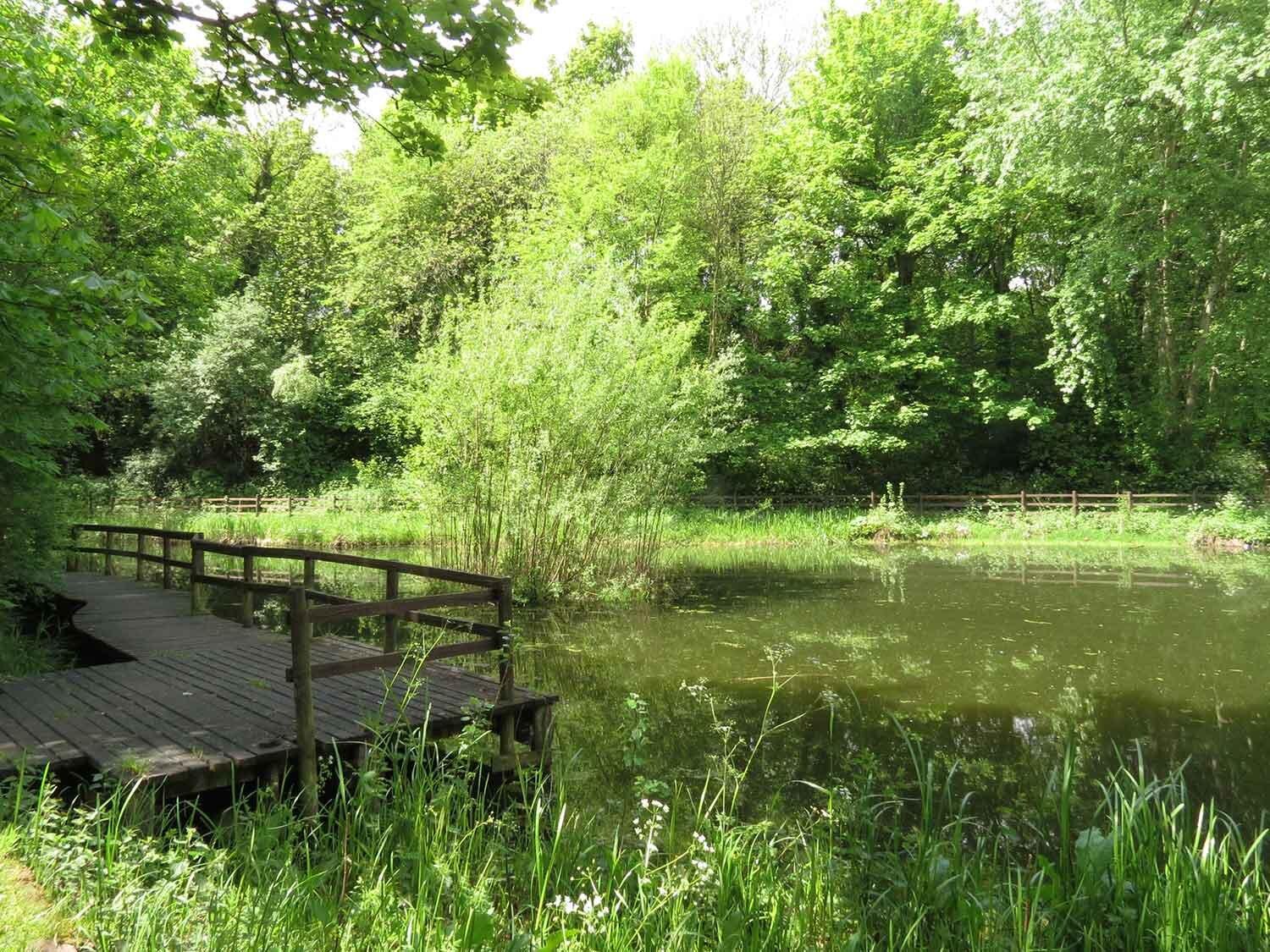 Crabtree Ponds Nature Reserve