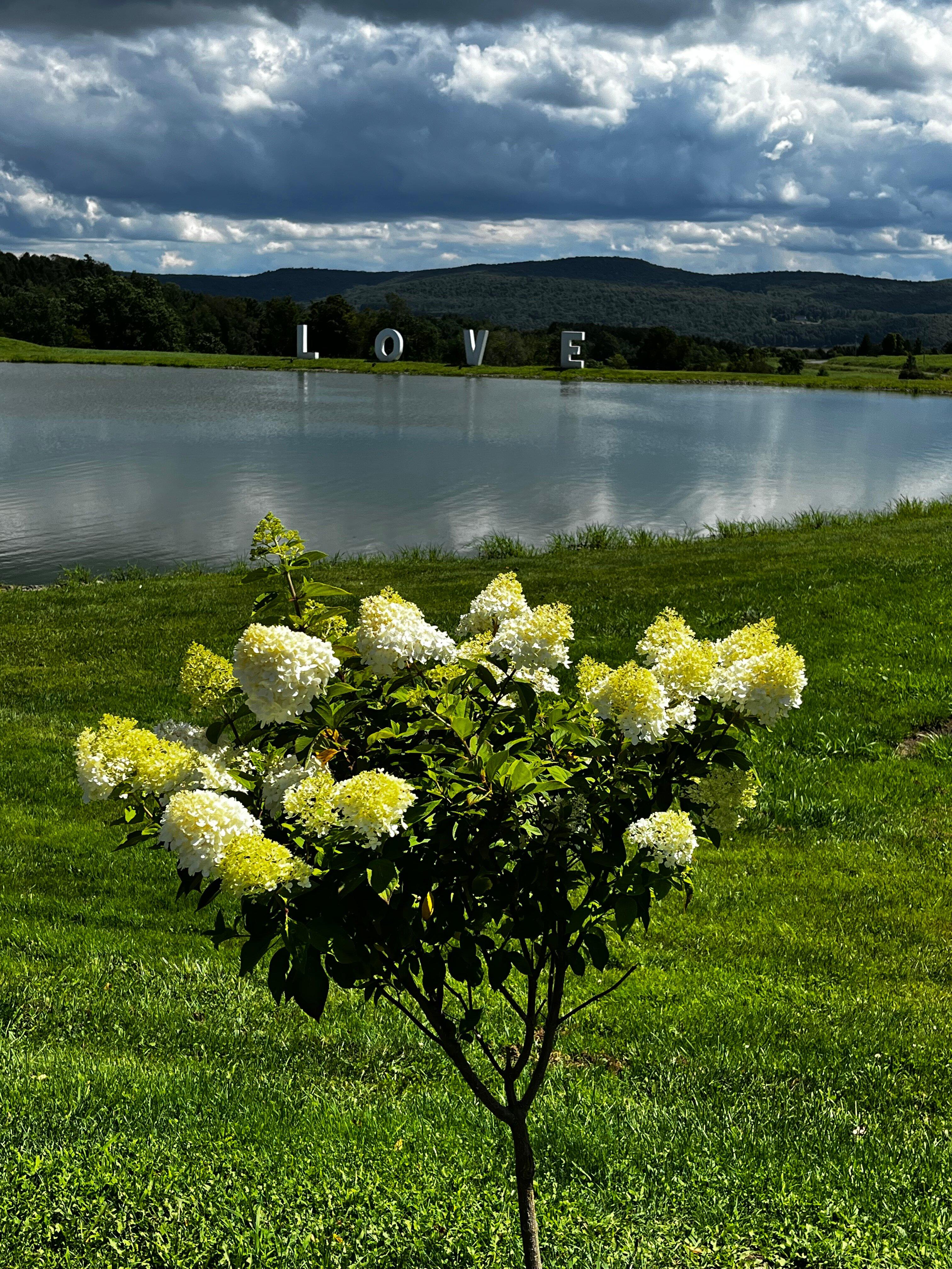 Gilbertsville Farmhouse