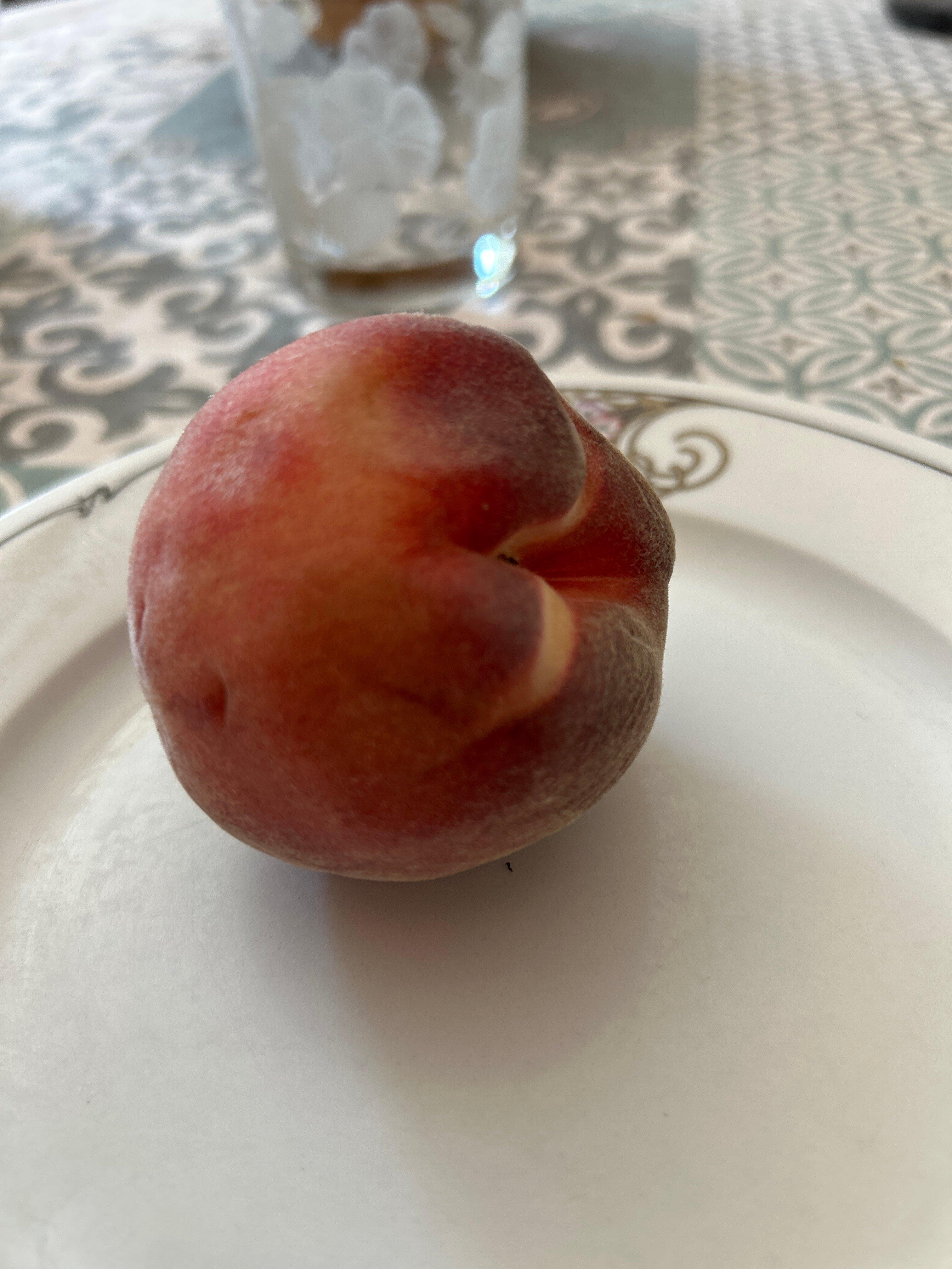 Plage Des Célestins