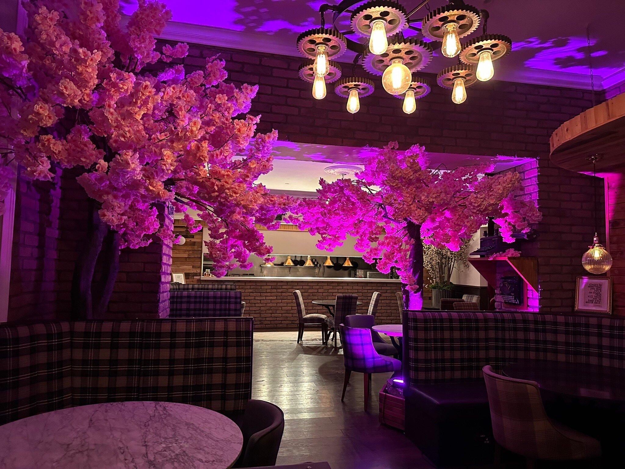 Photo by hemingwaysedinburgh