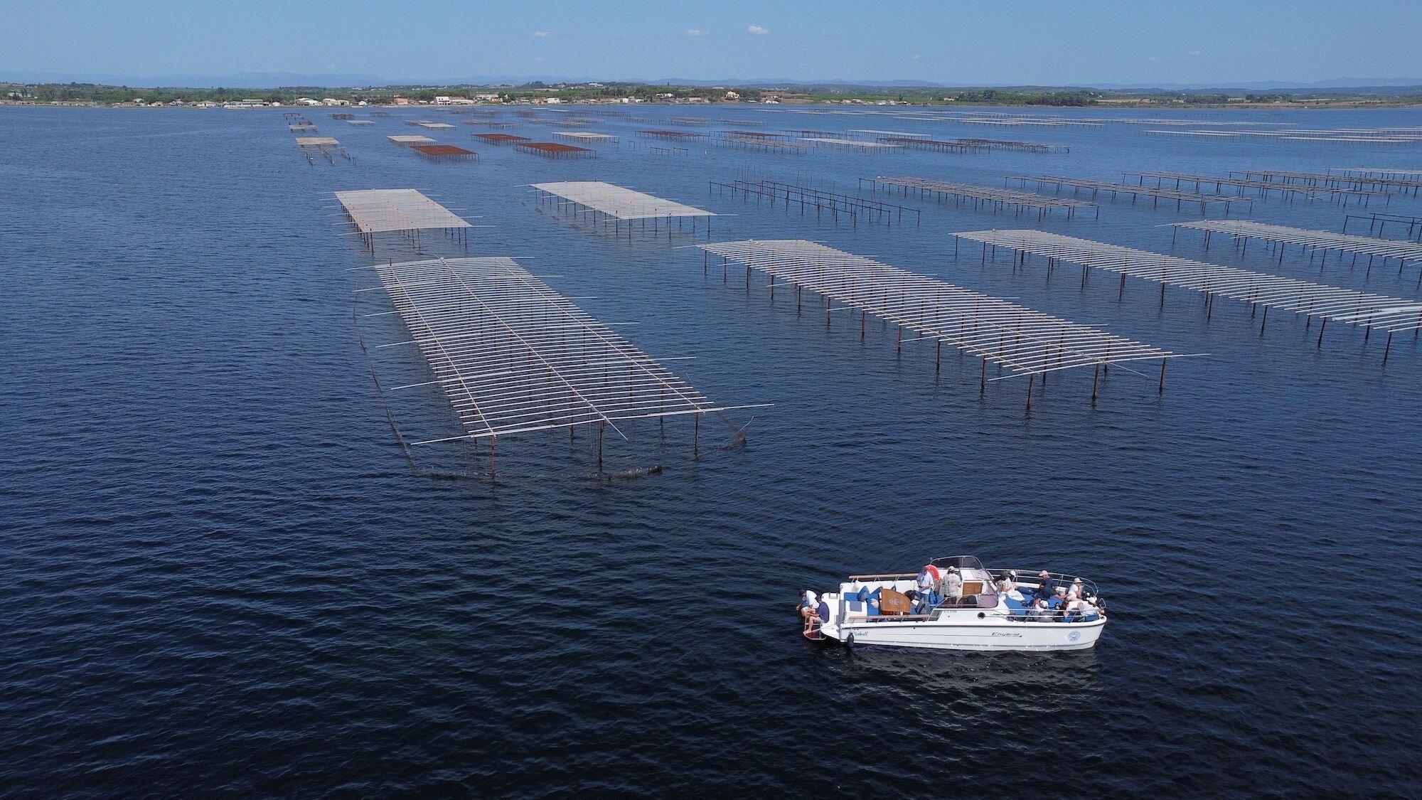 Association Terre Marine